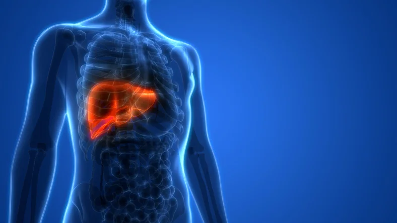 8 Habits harming your liver