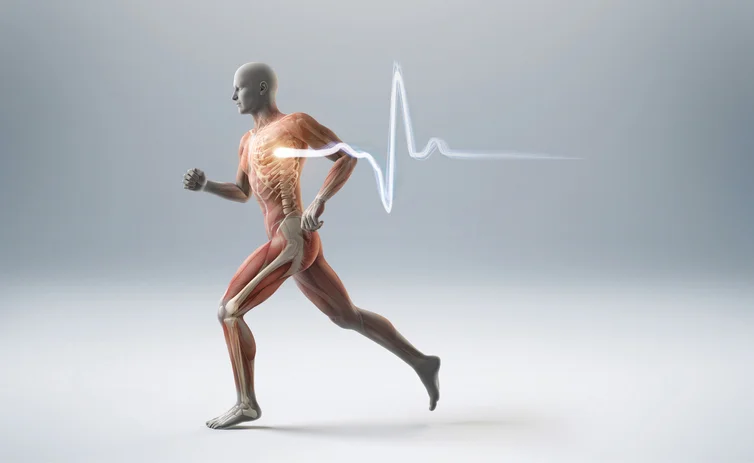 5 Necessary nutrients for building strong bones