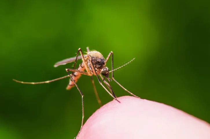 How to avoid being a mosquito magnet