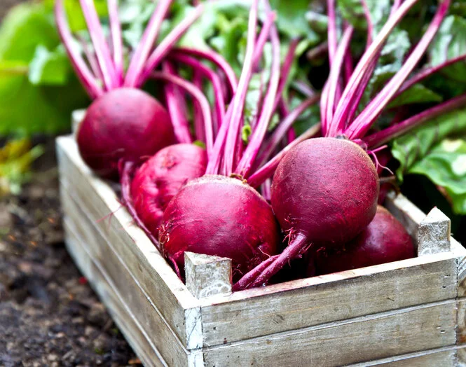 The best foods protecting liver health