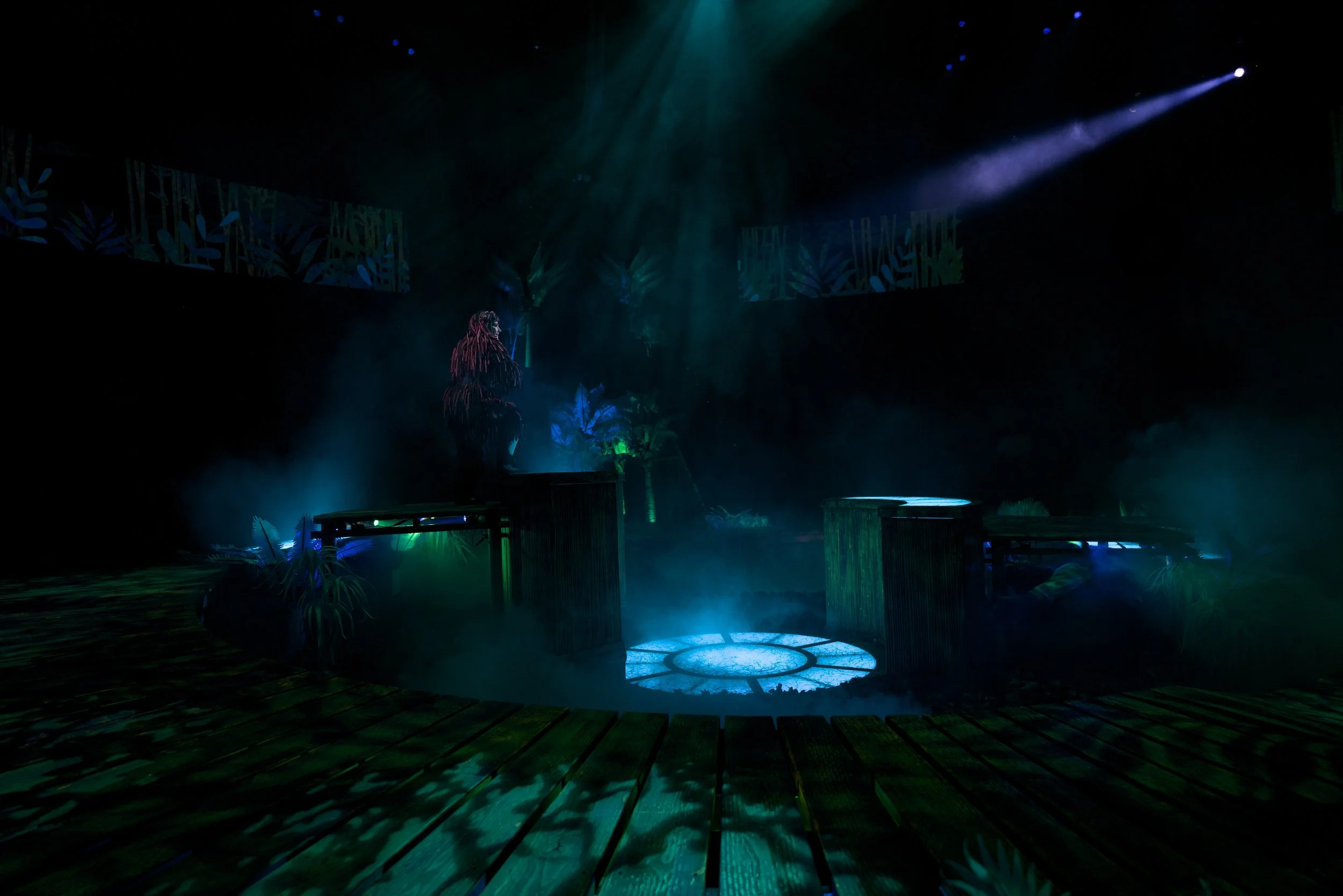 Tarzan_Lighting_Design_1.jpg