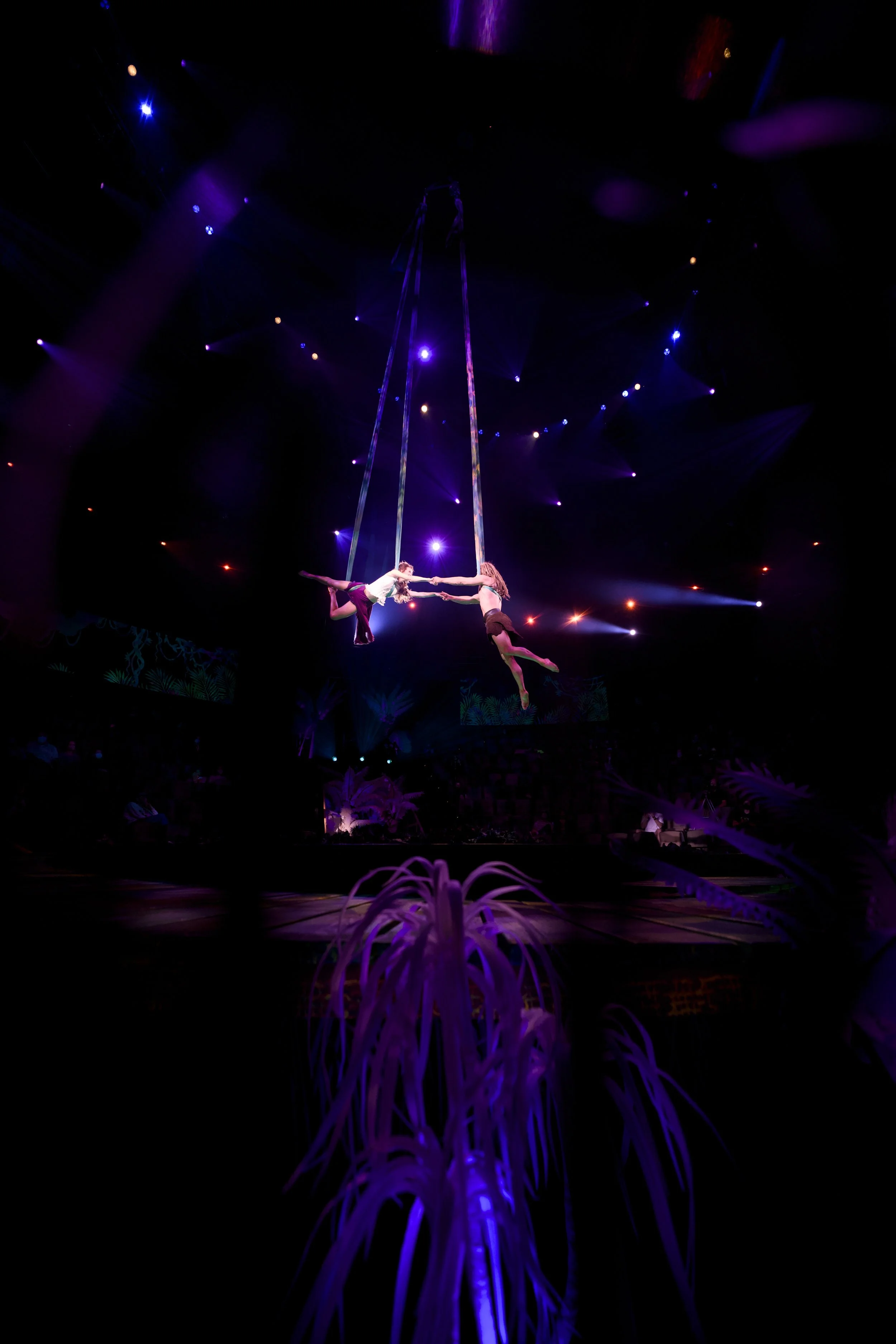 Tarzan_Lighting_Design_6.jpg