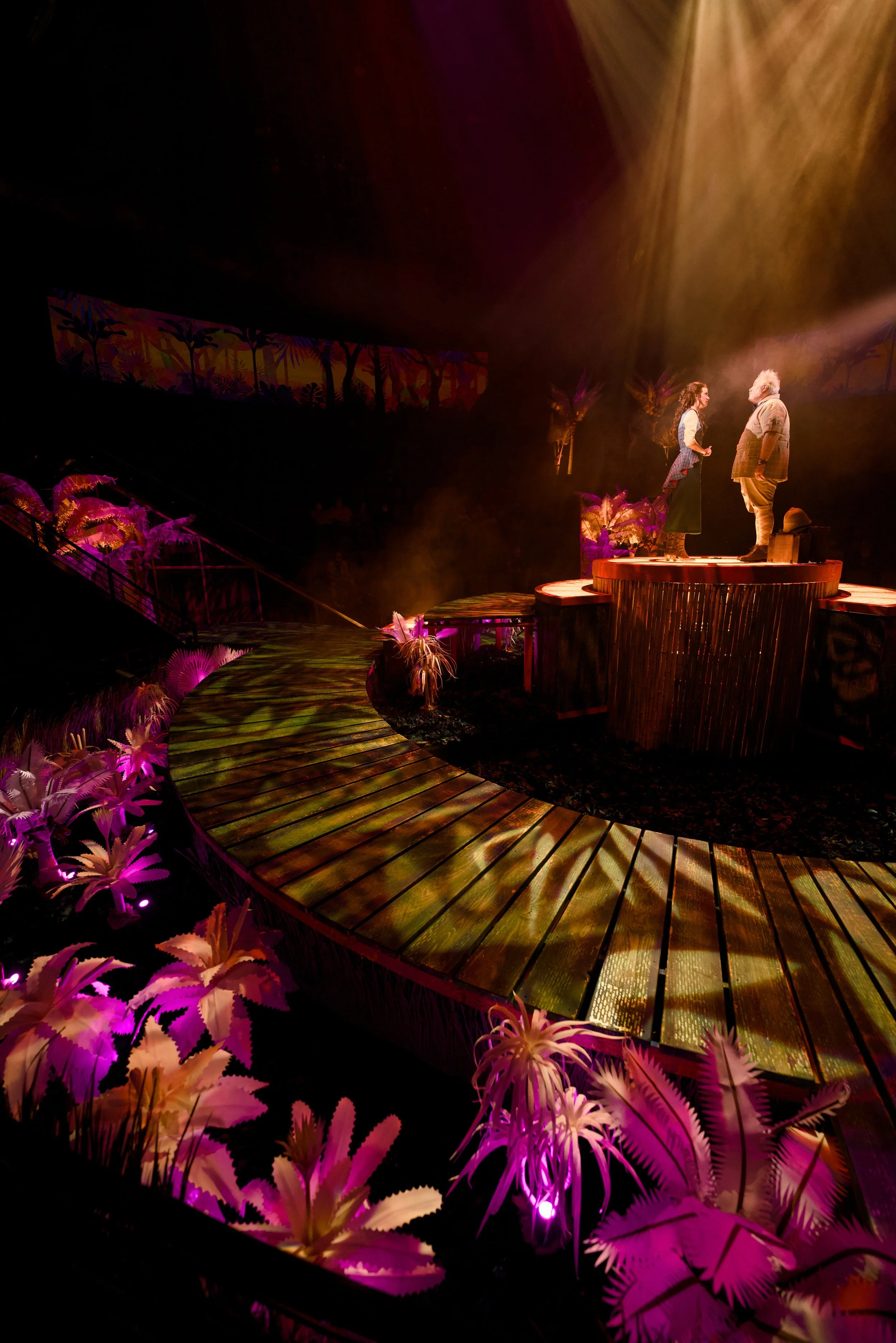 Tarzan_Lighting_Design_7.jpg