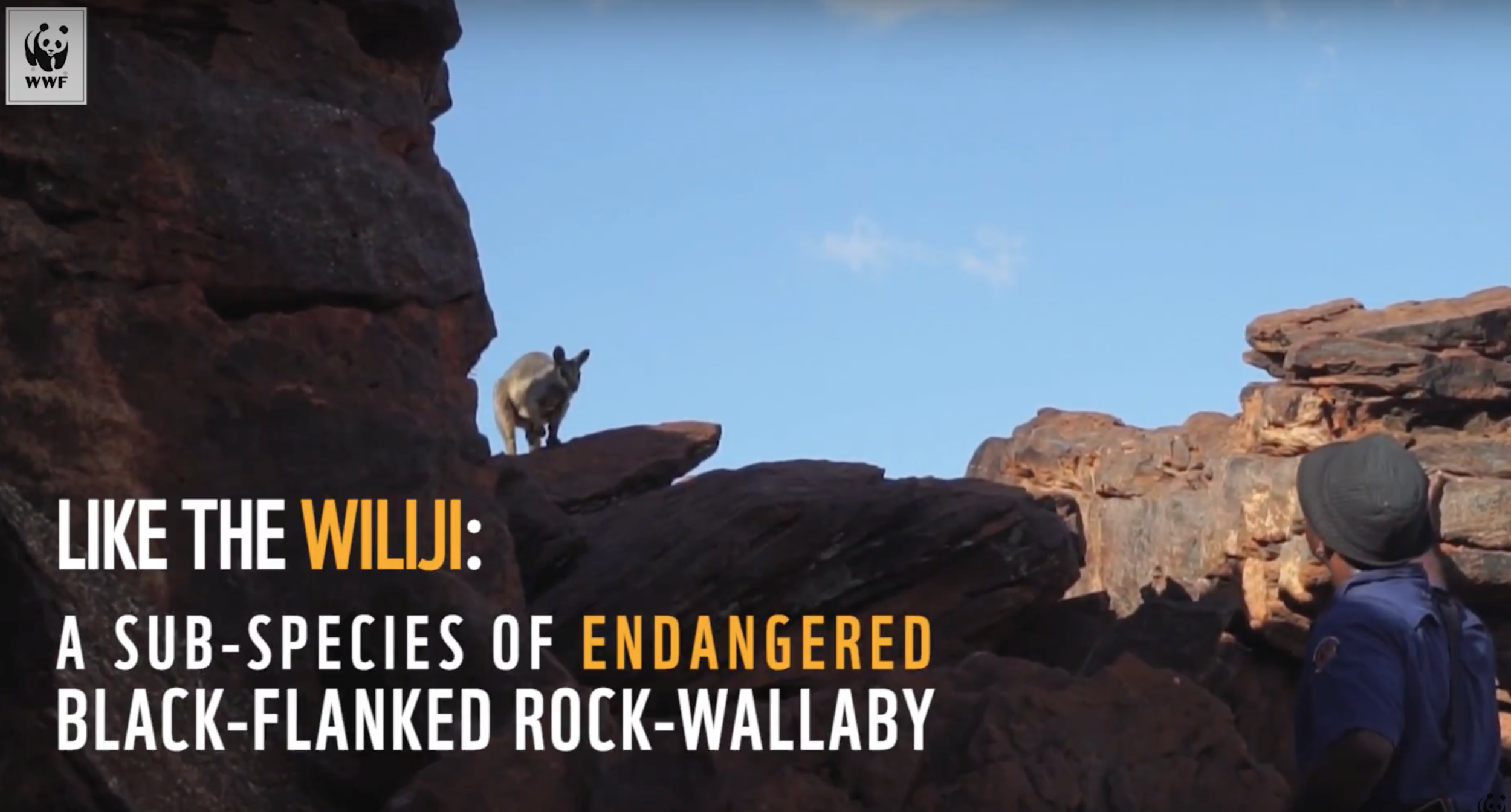 Screen Shot 2017-11-14 at 10.21.00 am.png