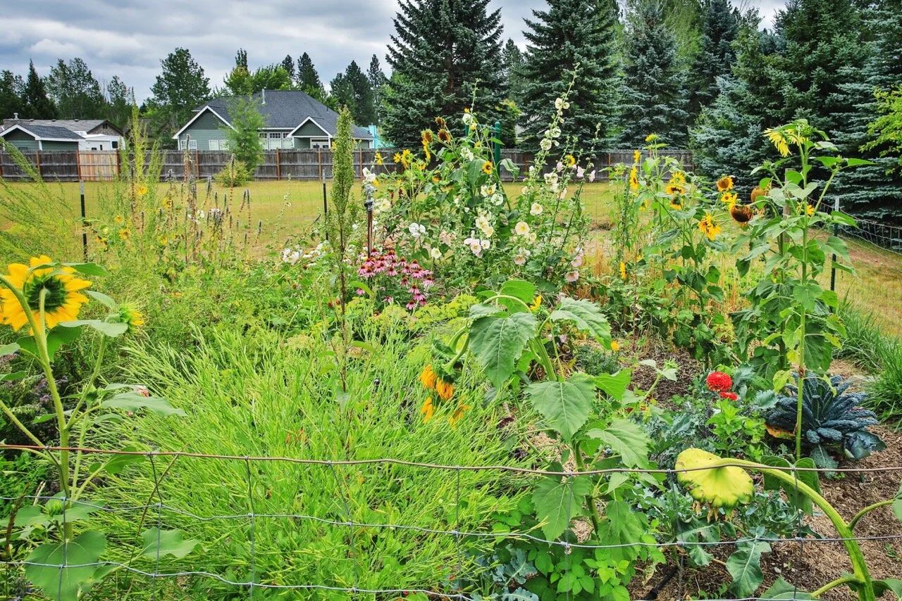 Gardening with Children 