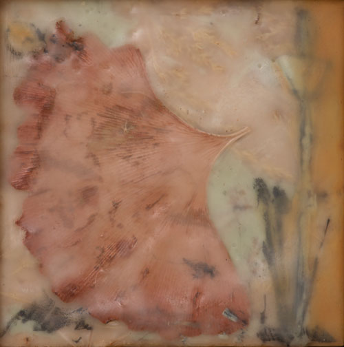 Desert ginko. 2012. Graphite, encaustic and plant material on wood. 4″ x 4″ These pieces are drawn, painted and collaged with a combination of graphite, watercolor, encaustic, and plants from my garden. Plants are carefully manipulated, embedd