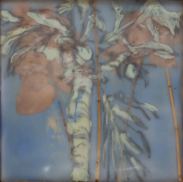 Respite from winter. 2012. Graphite, encaustic and plant material on wood. 5.5″ x 5.5″