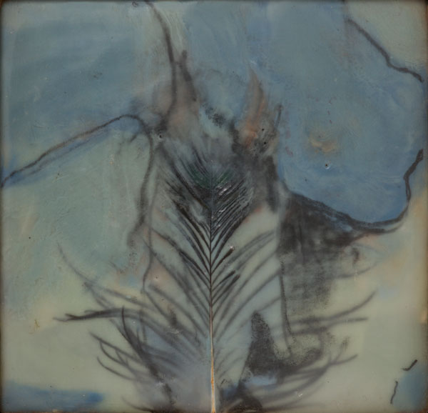 Peacock 2. 2011. Graphite, encaustic and feather on wood. 5.5″ x 5.5″