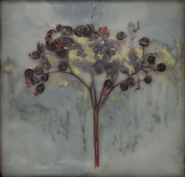 Berry tree. 2011. Graphite, encaustic and plant material on wood. 5.5″ x 5.5″