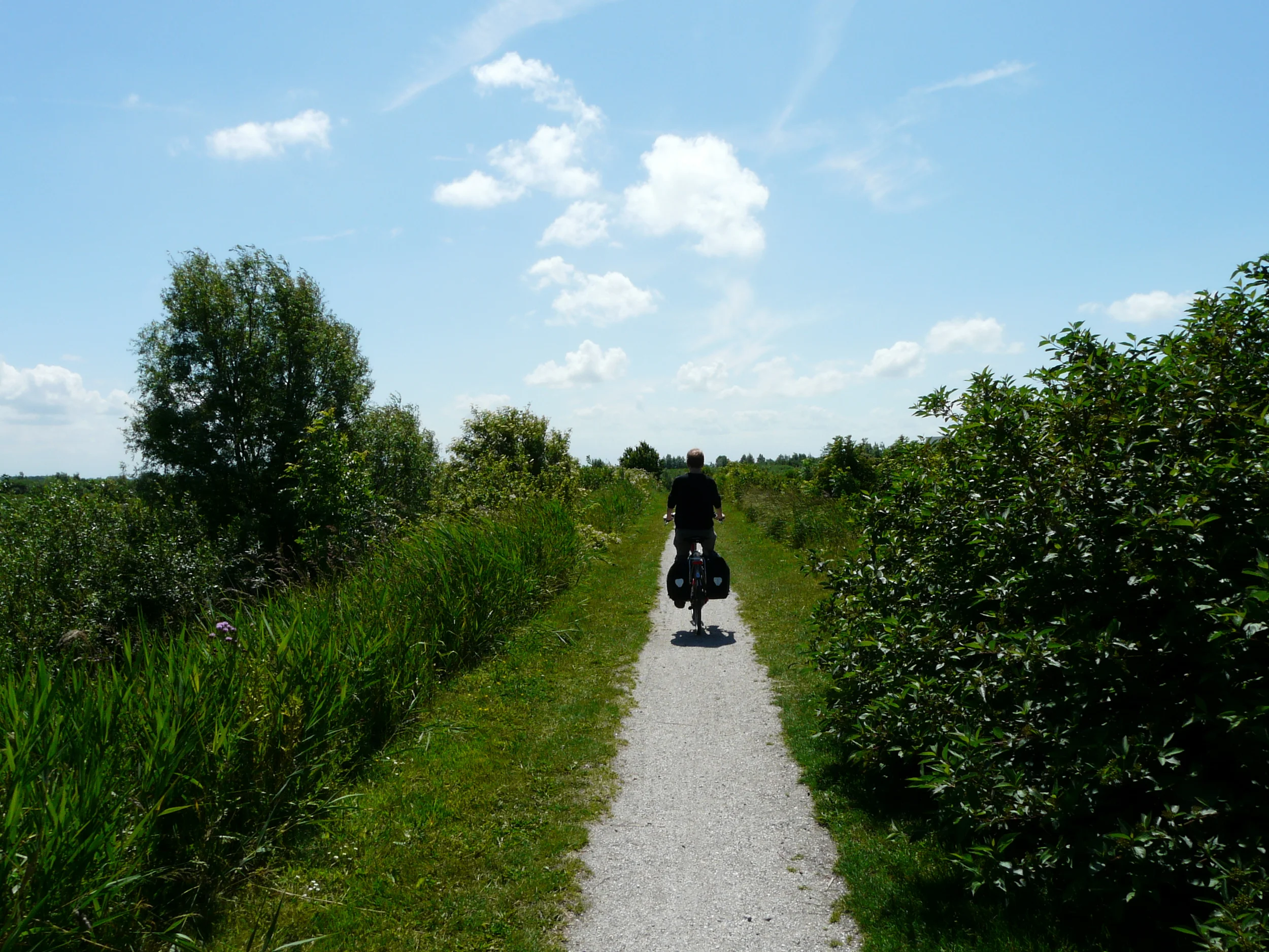 out there support.JPG