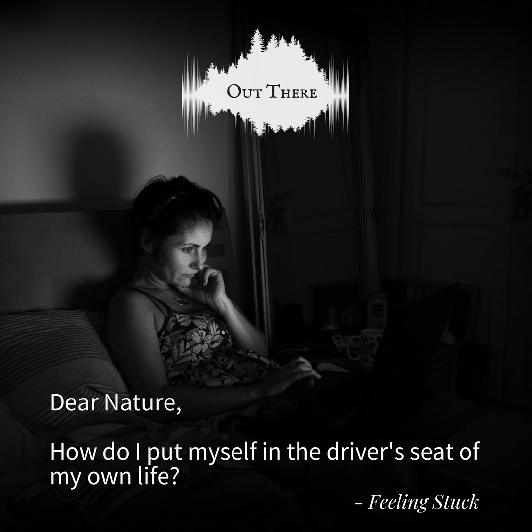 Dear Nature Ep 5 RELEASE.png