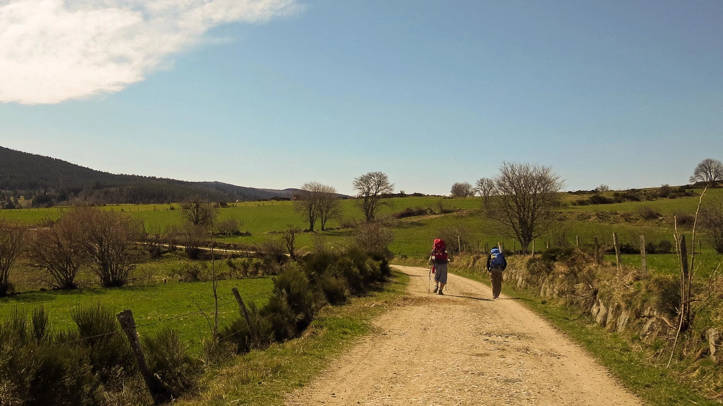 Hikers on The Camino De Santiago (Photo by Beth Jusino)