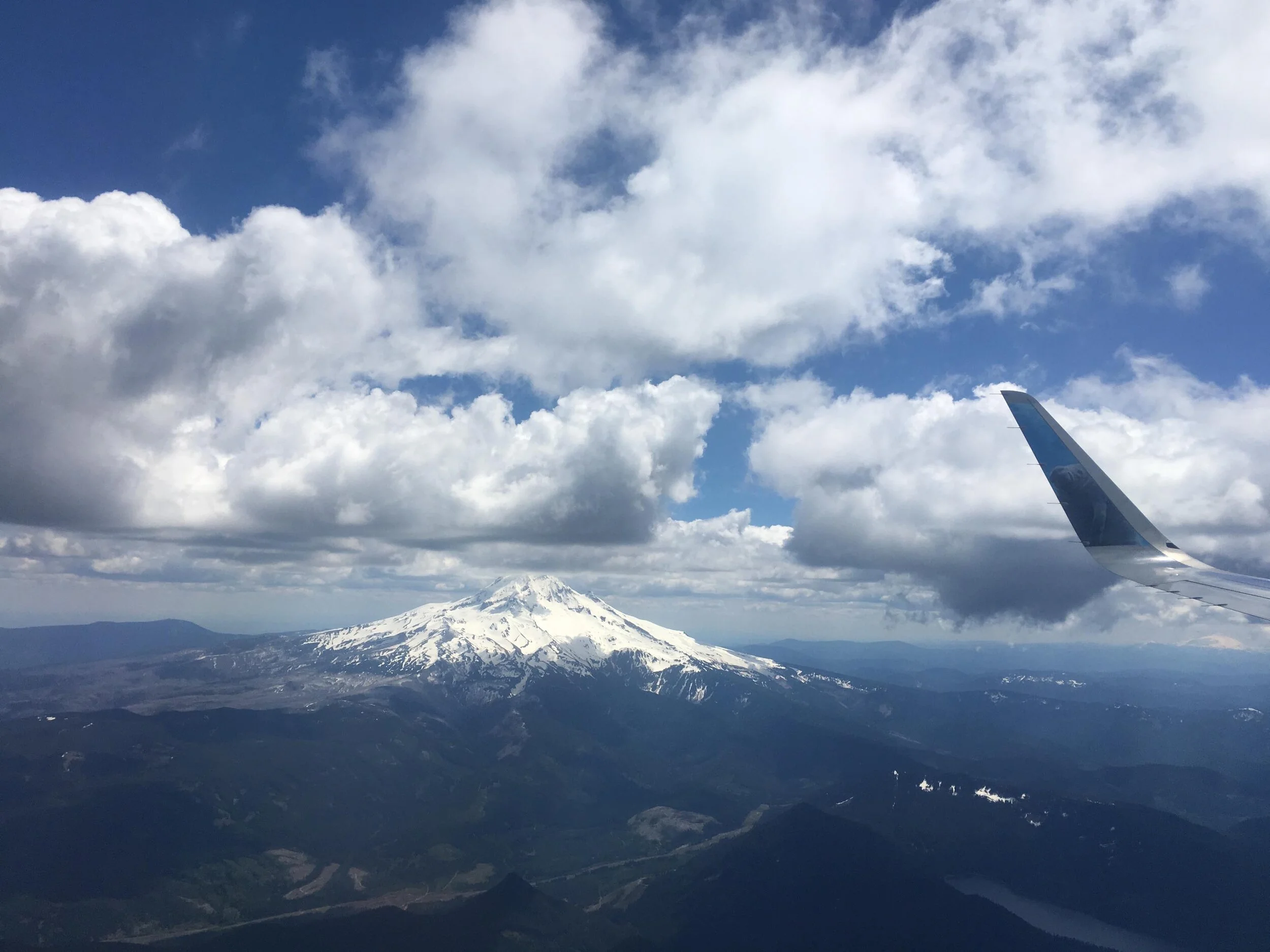 Fishie's Birthday Extravaganza 2019-3.jpg