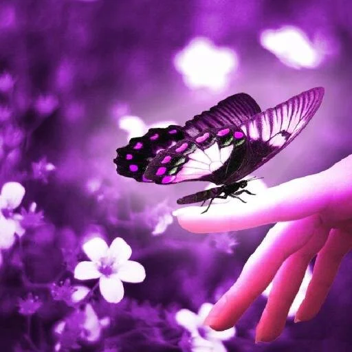 Selina's Book Cover.jpeg