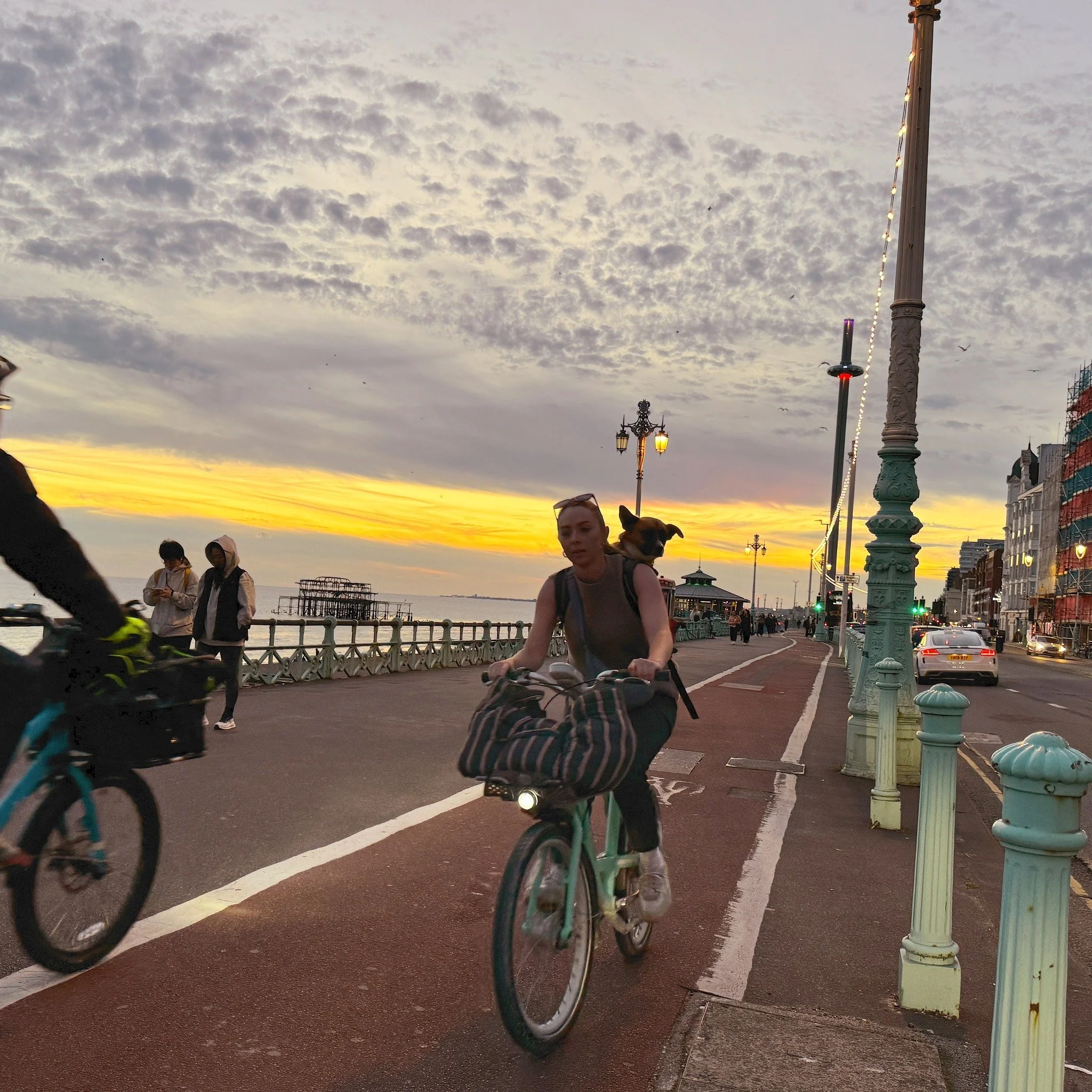 Doggo on the go.

#caninepassenger #dogoftheday #dogsofinstagram #hangon #brighton #pieringoverhershoulder #crackhorse #cycling