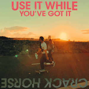 Use It While You've Got It single cover