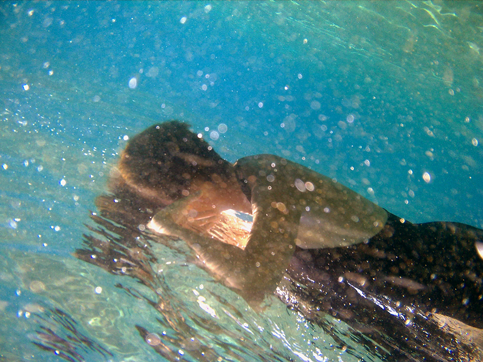 IMG_009.png
