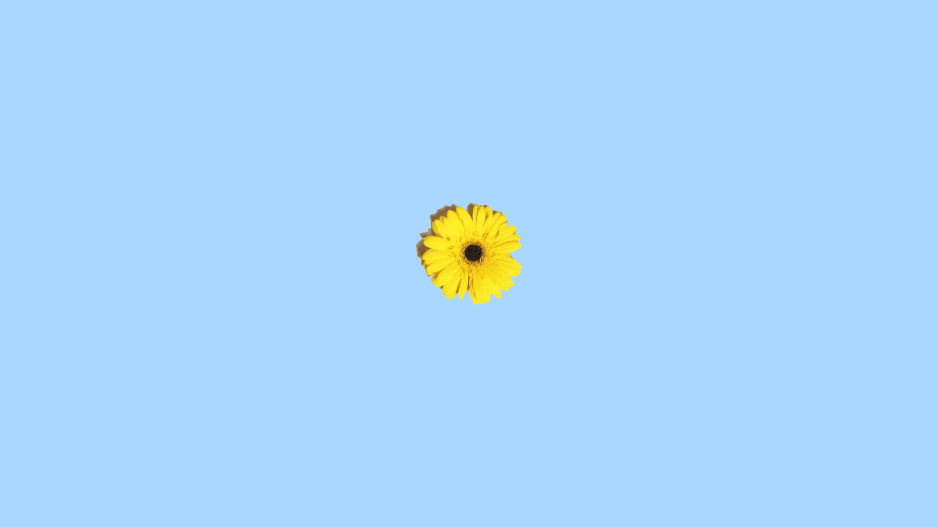 Hayeon_Music.gif