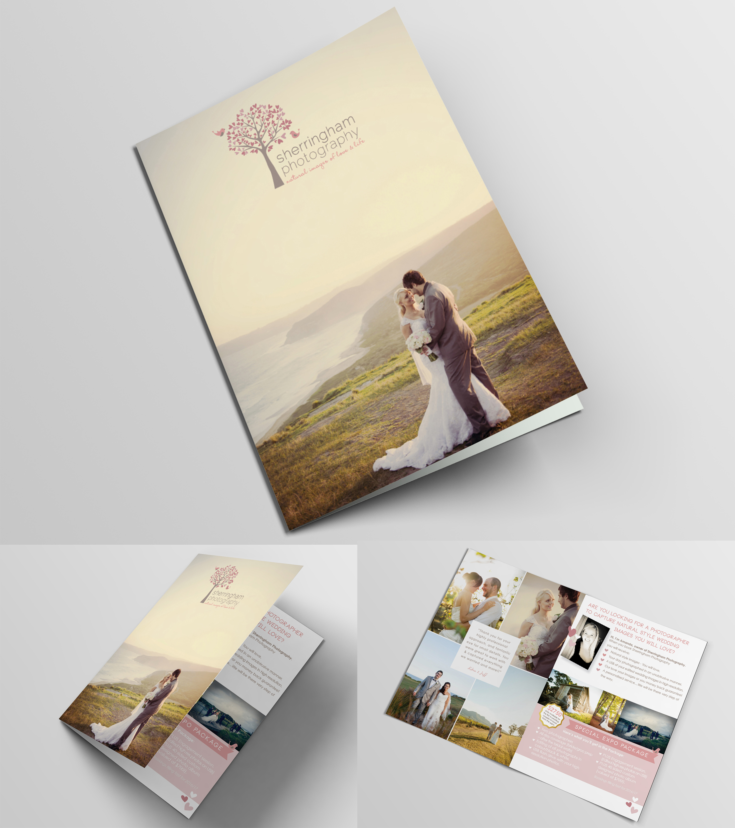 4 PAGE BROCHURE DESIGN