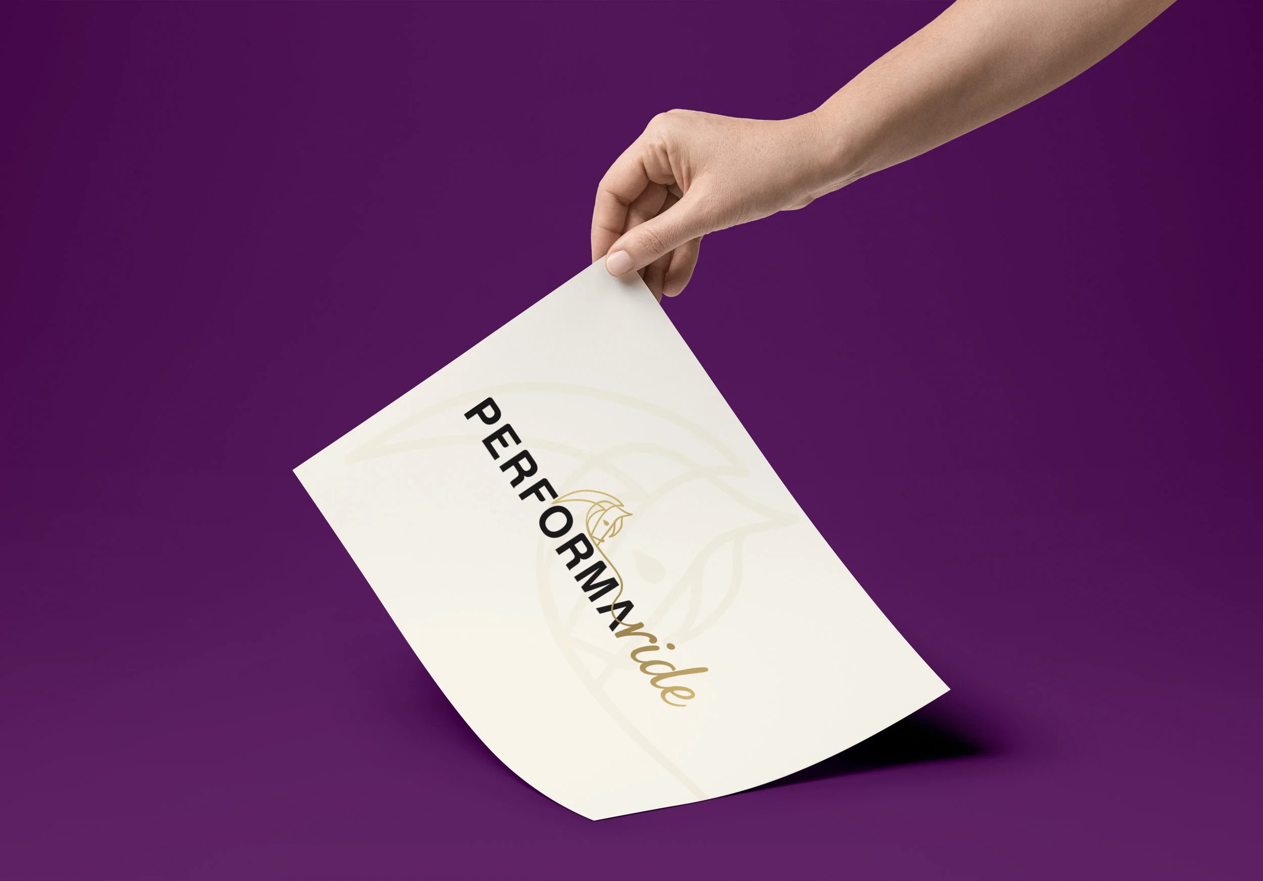 Branding for PerformaRide