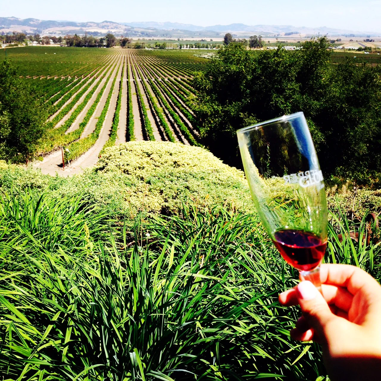 The Second SATURDAYS