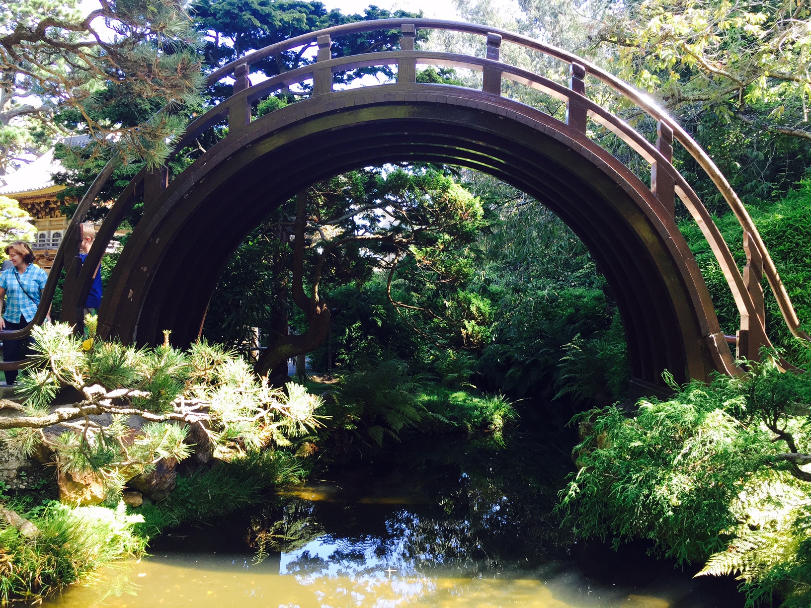 Japanese Tea Garden San Francisco