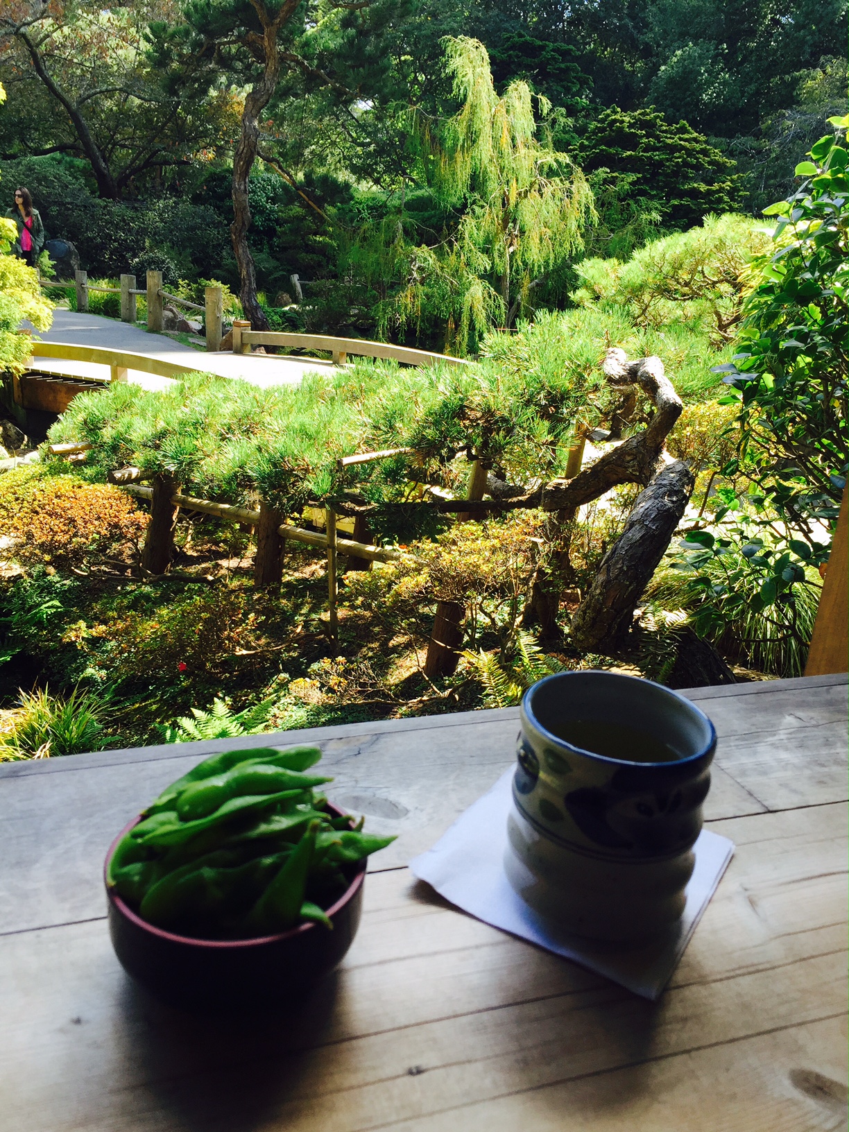 Japanese Tea Garden San Francisco