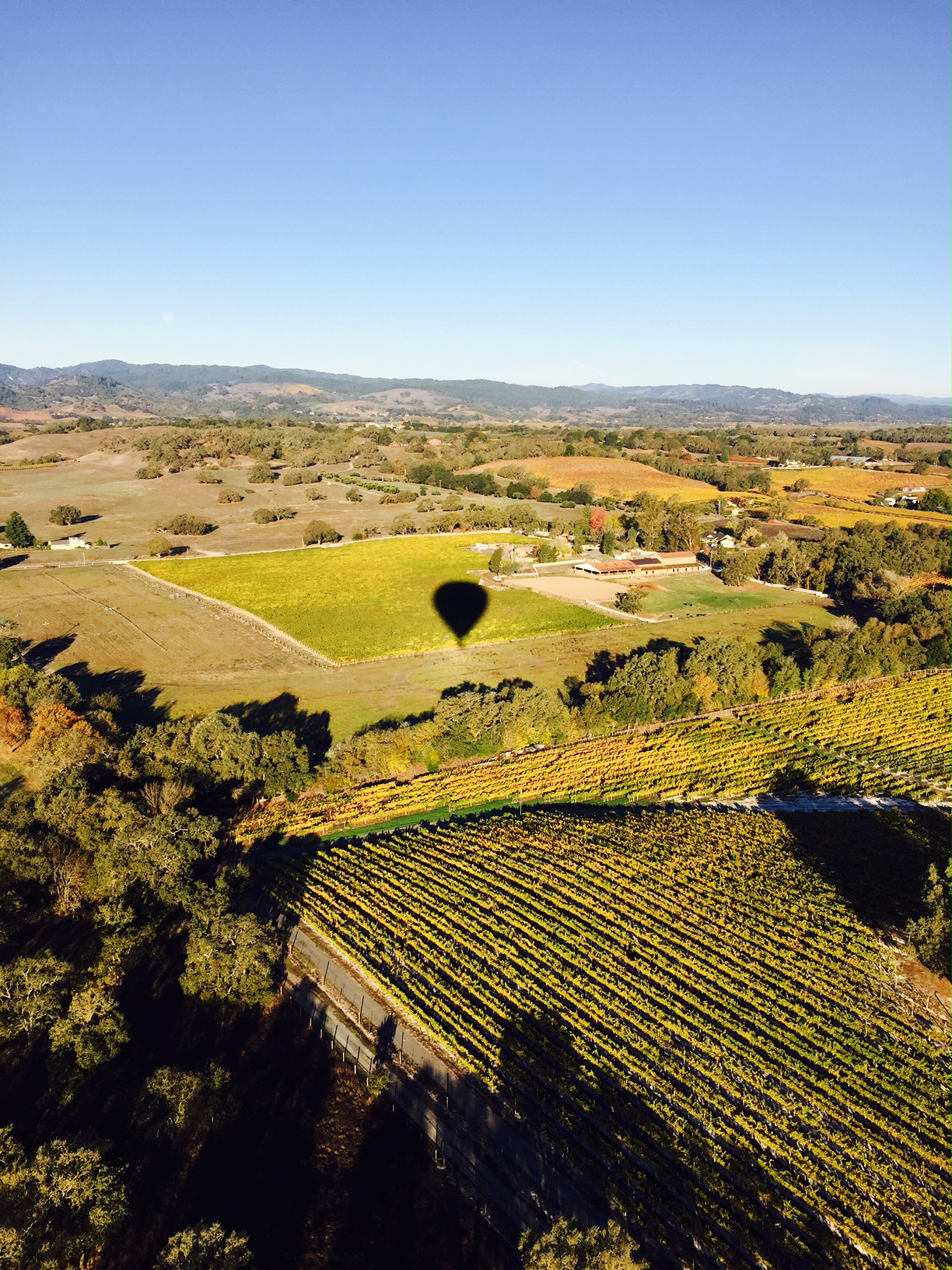 View from Hot Air Balloon Sonoma
