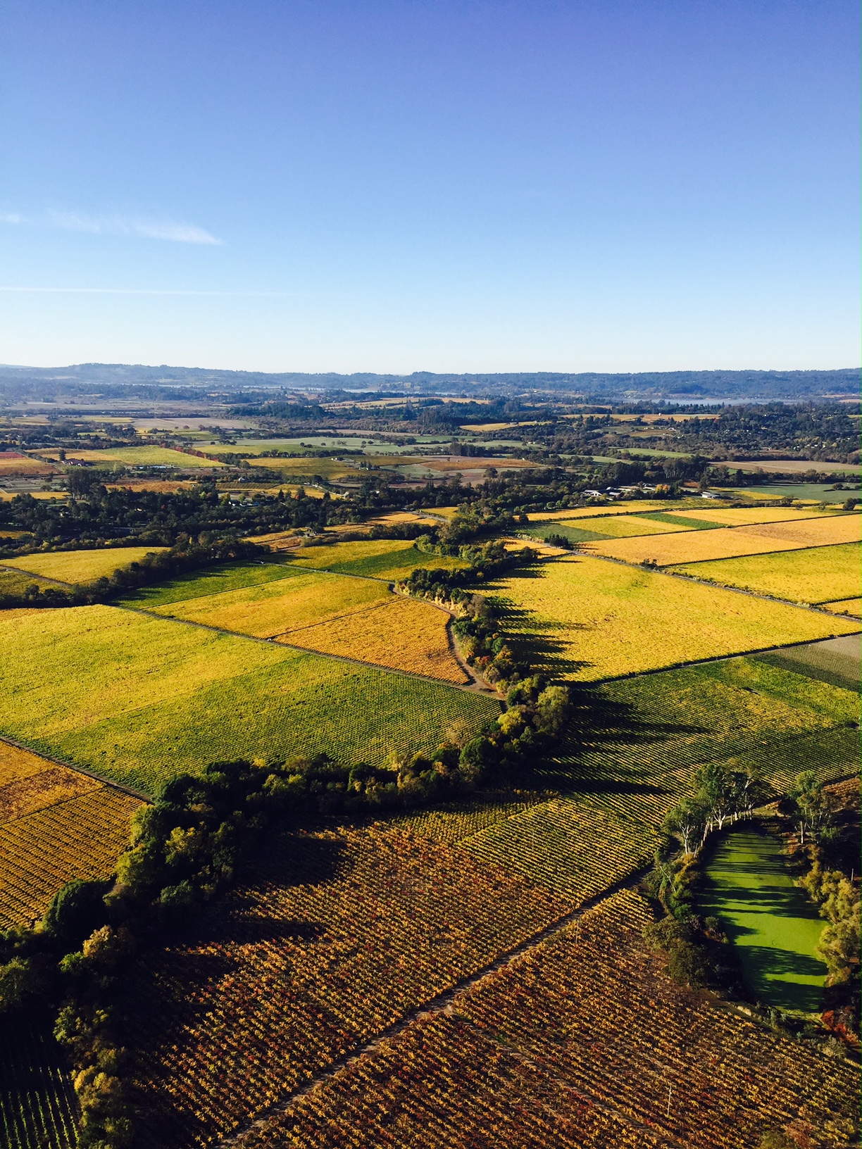 Hot Air Balloon Tour Sonoma