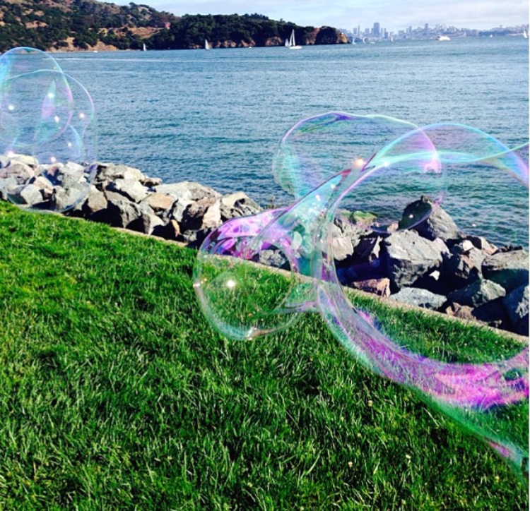 Bubbles//Tiburon