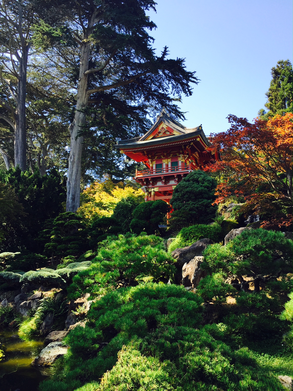 Japanese Tea Garden//SF