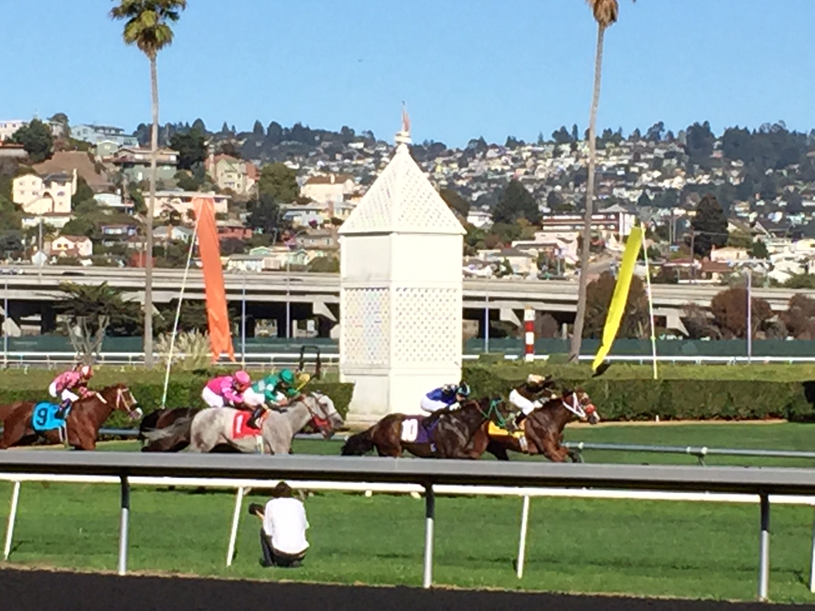 Horse Race//Berkeley//$10+bets