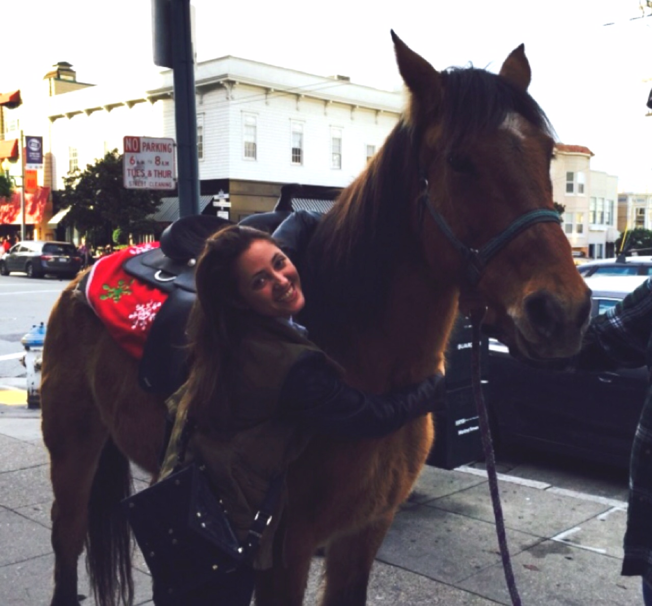 Horse on the street of SF