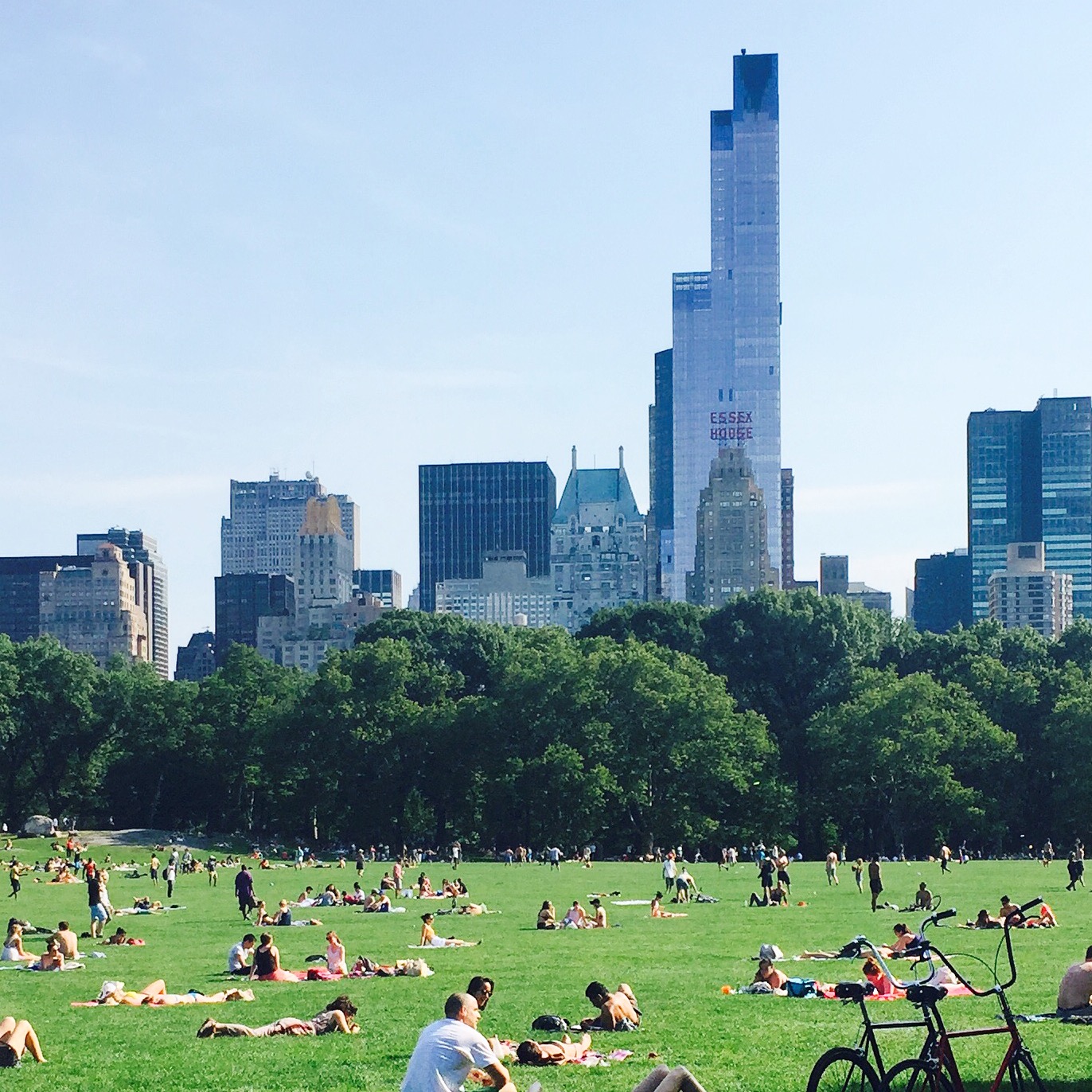 Sheep's Meadow