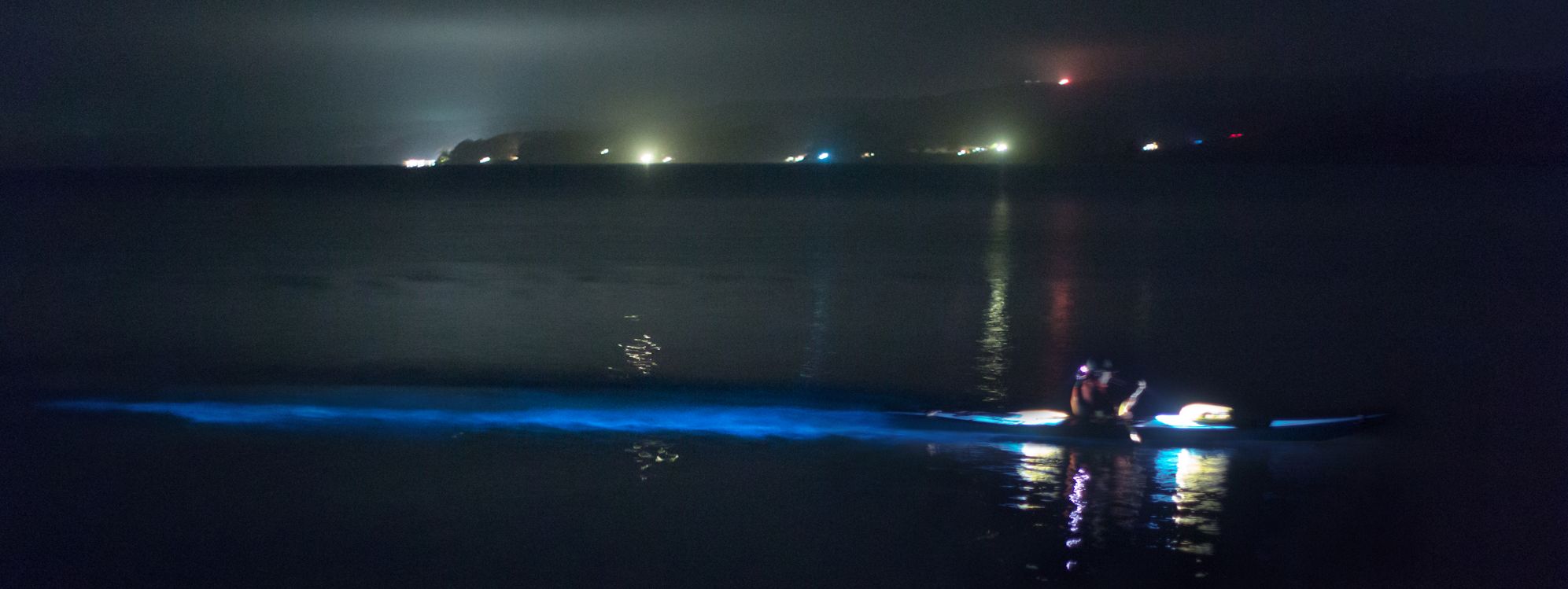 bioluminescence4.jpg