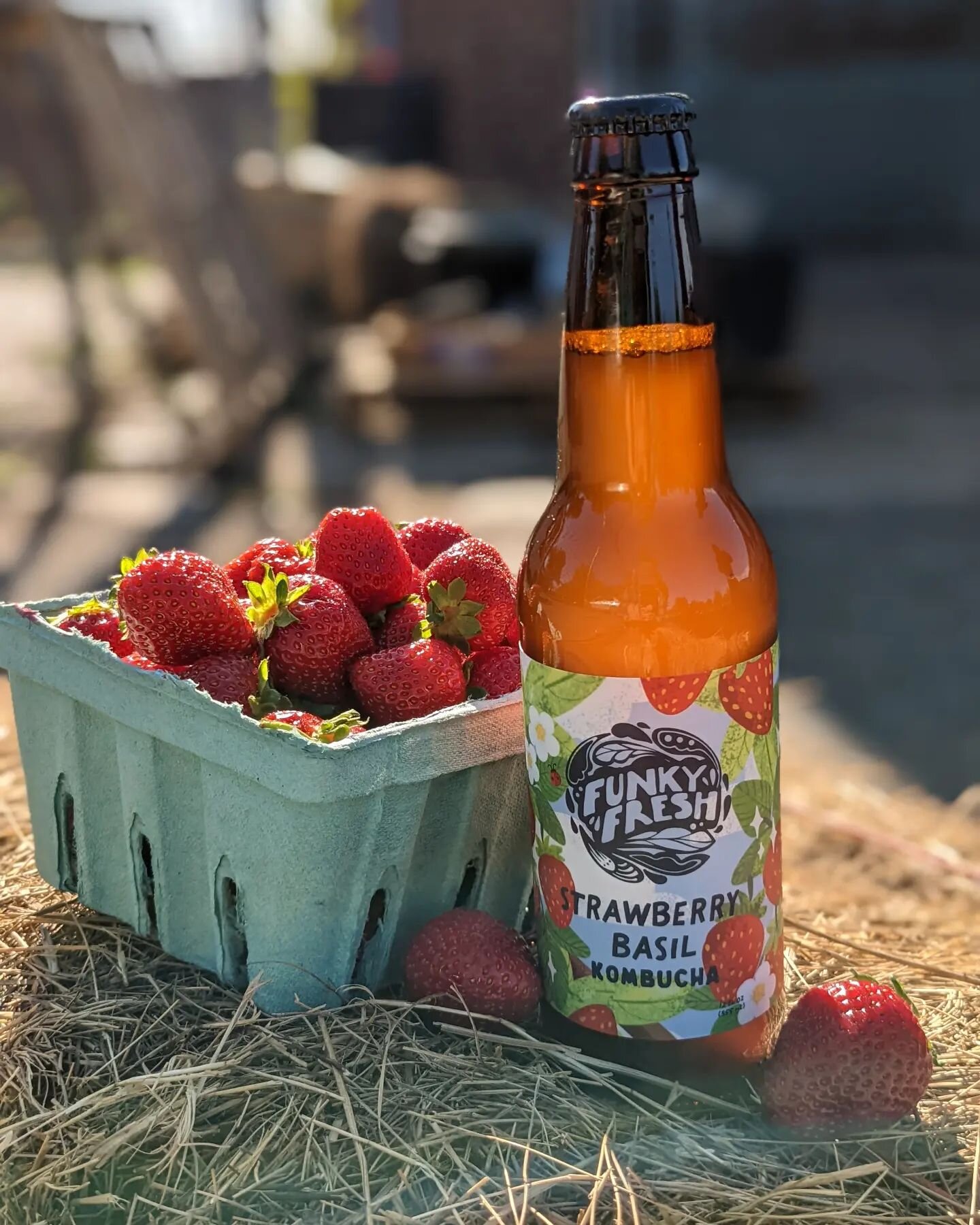 🍓⚡So stoked one of our favorite summer flavors of all time hit shelves this week. Blended with the best strawberries I've ever had from @honey_brook_harvest_collective as well holy basil, sweet basil, lemon verbena, and lemon balm for a refreshing &