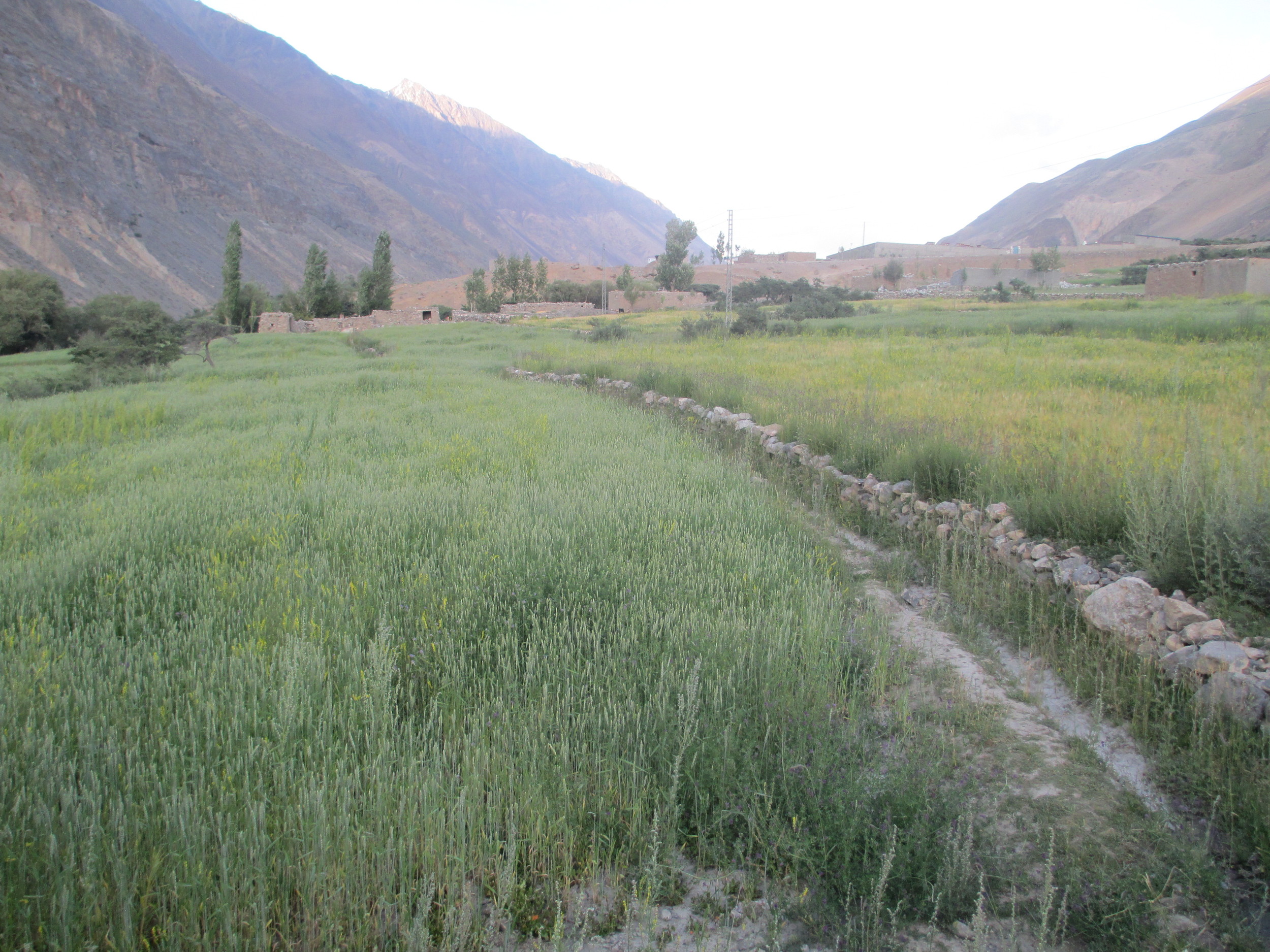 Chupursan valley