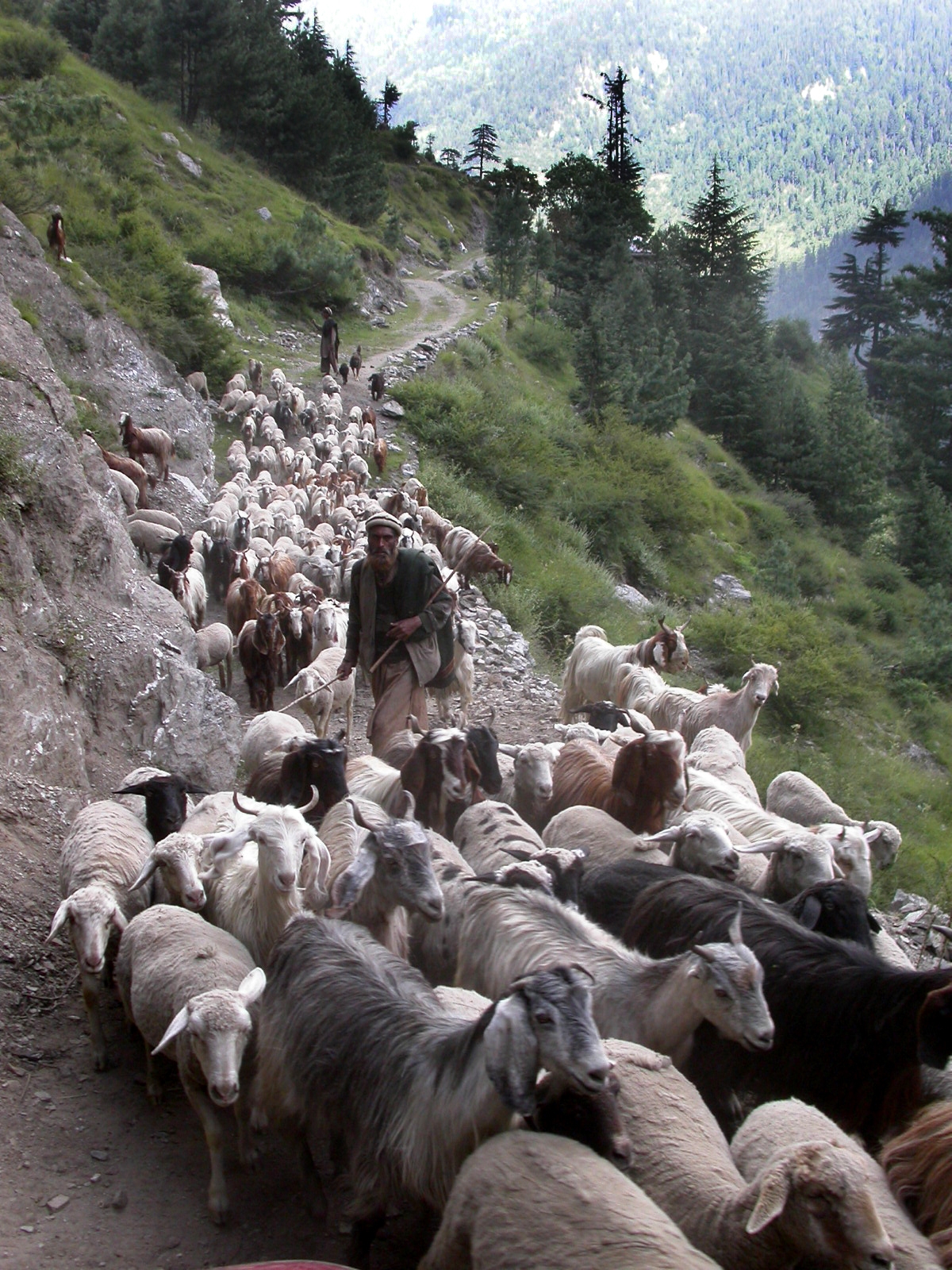  Kaghan valley , Pakistan 