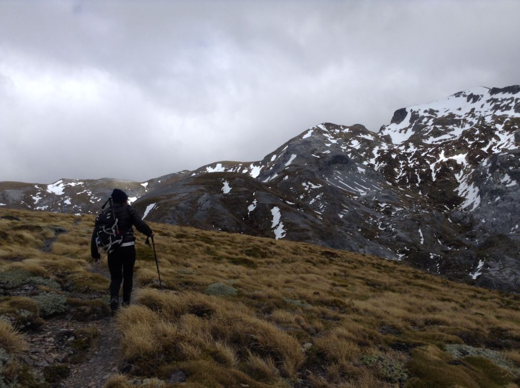   Heading up Arthur, Autumn  