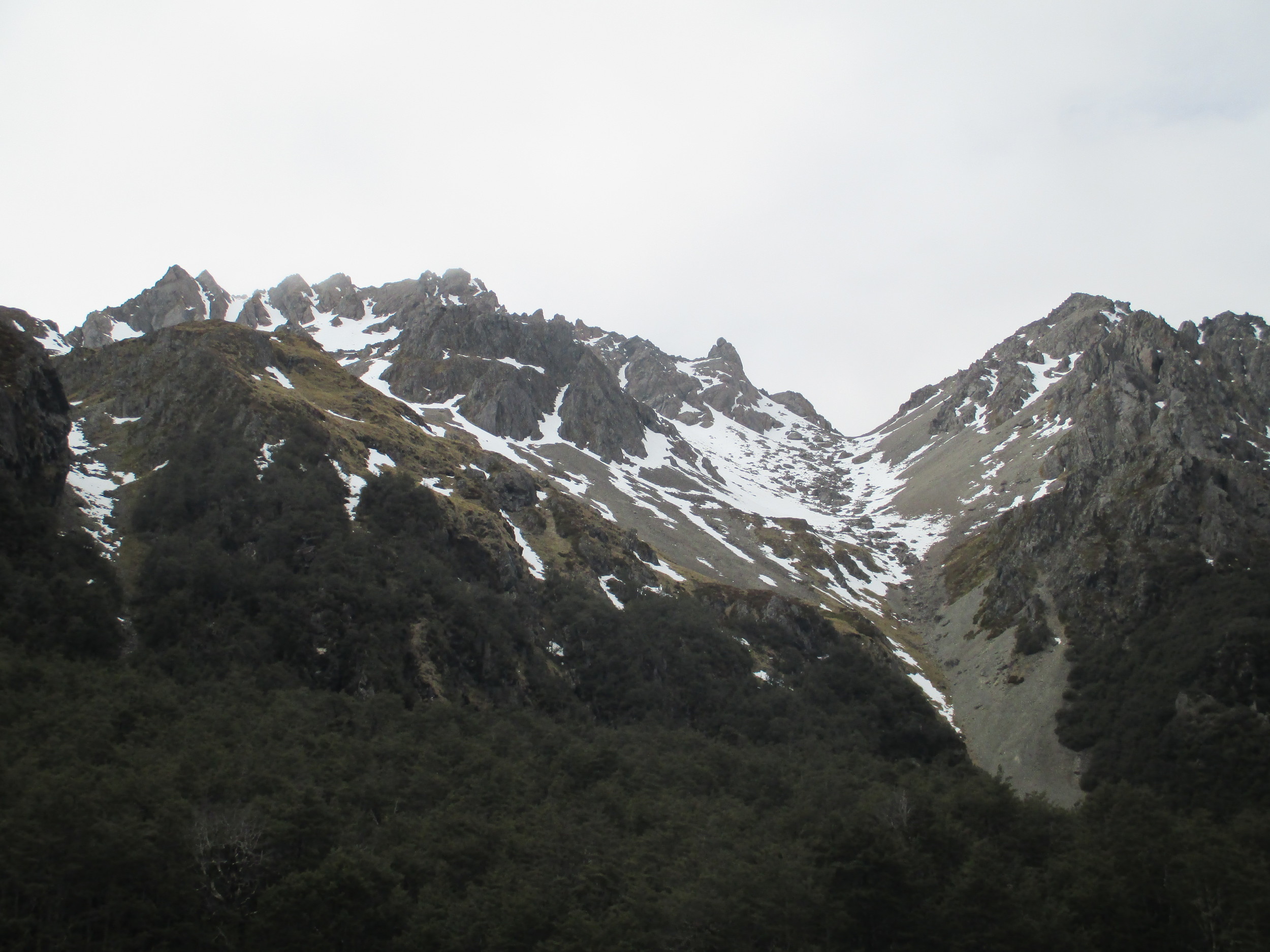   way up Cascade track to Angelus  