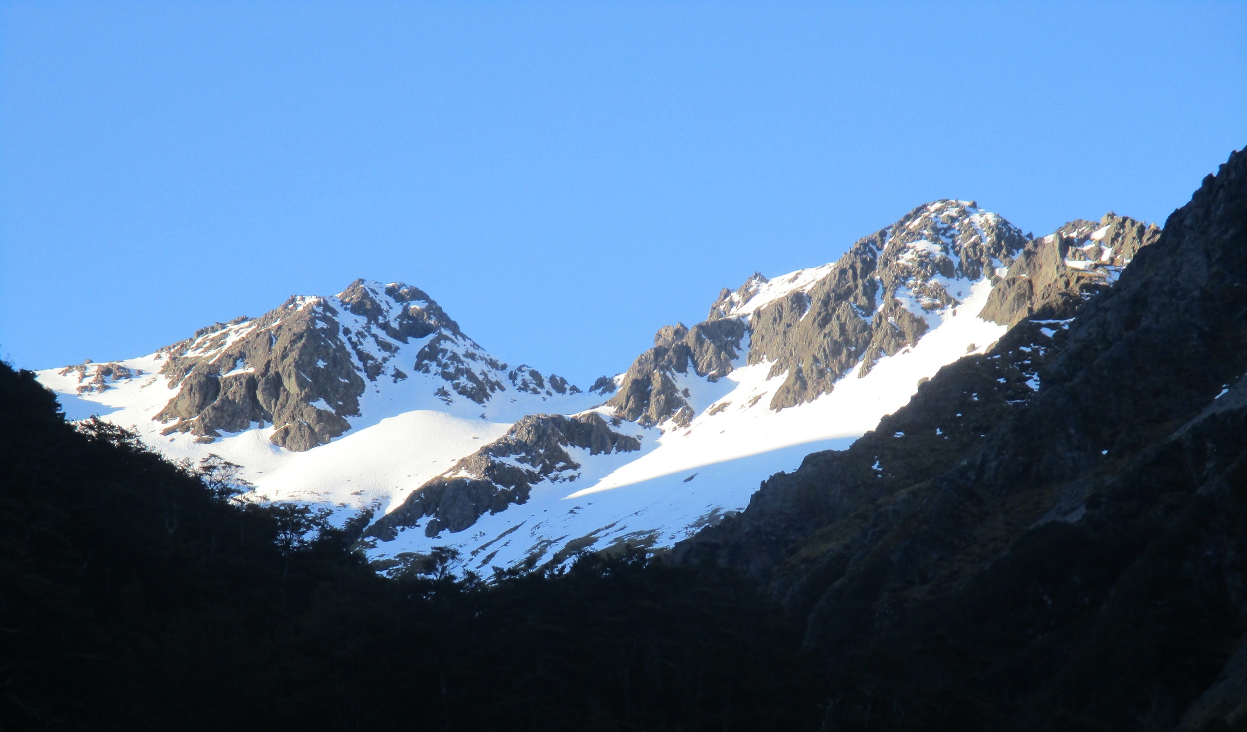   Classic New Zeland scenery, Conner's Creek in Nelson Lakes  