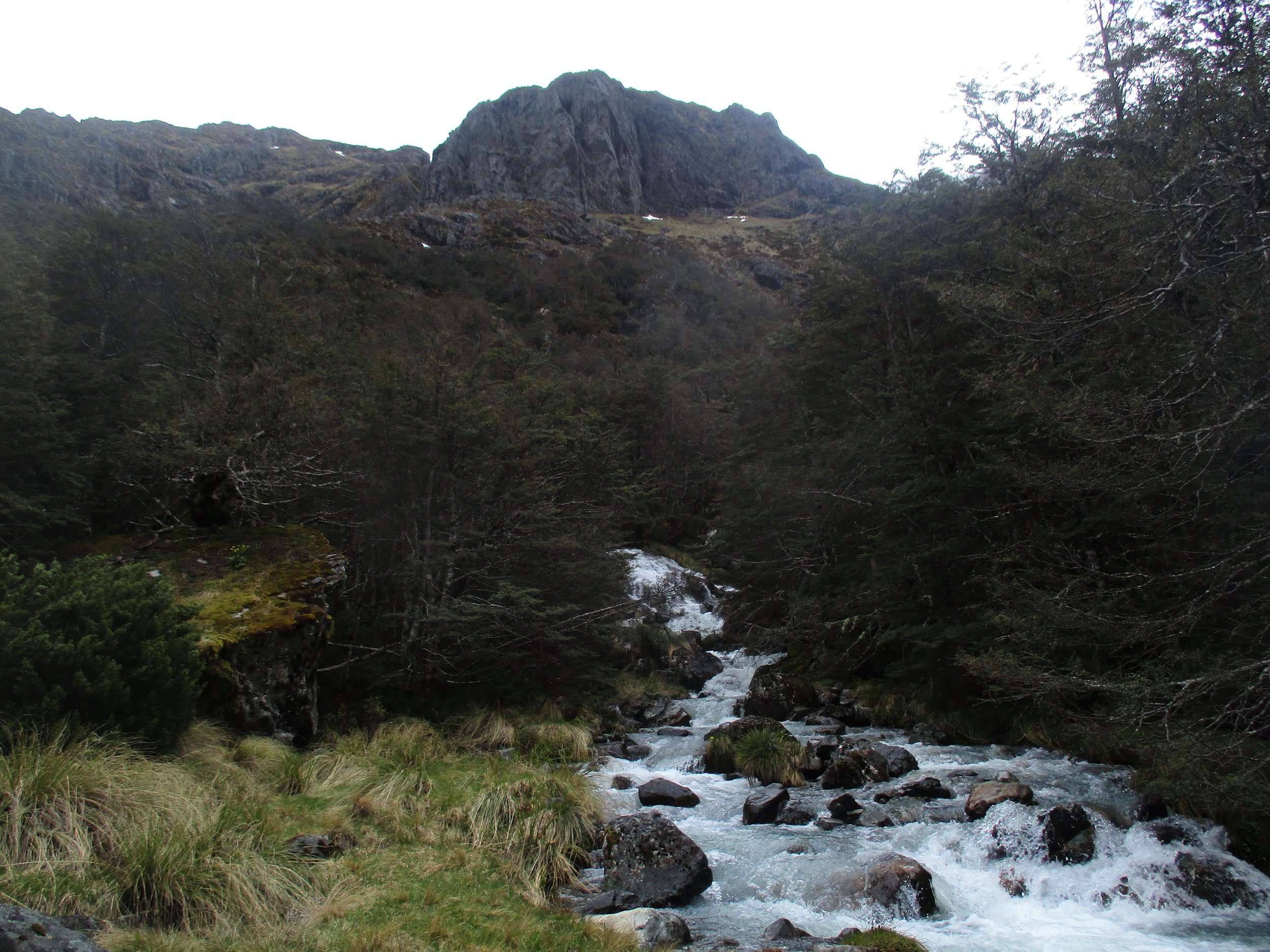Despite the over cast and often light drizzle throughout most of the day the dull colored mountainscapes had a charm of there own.