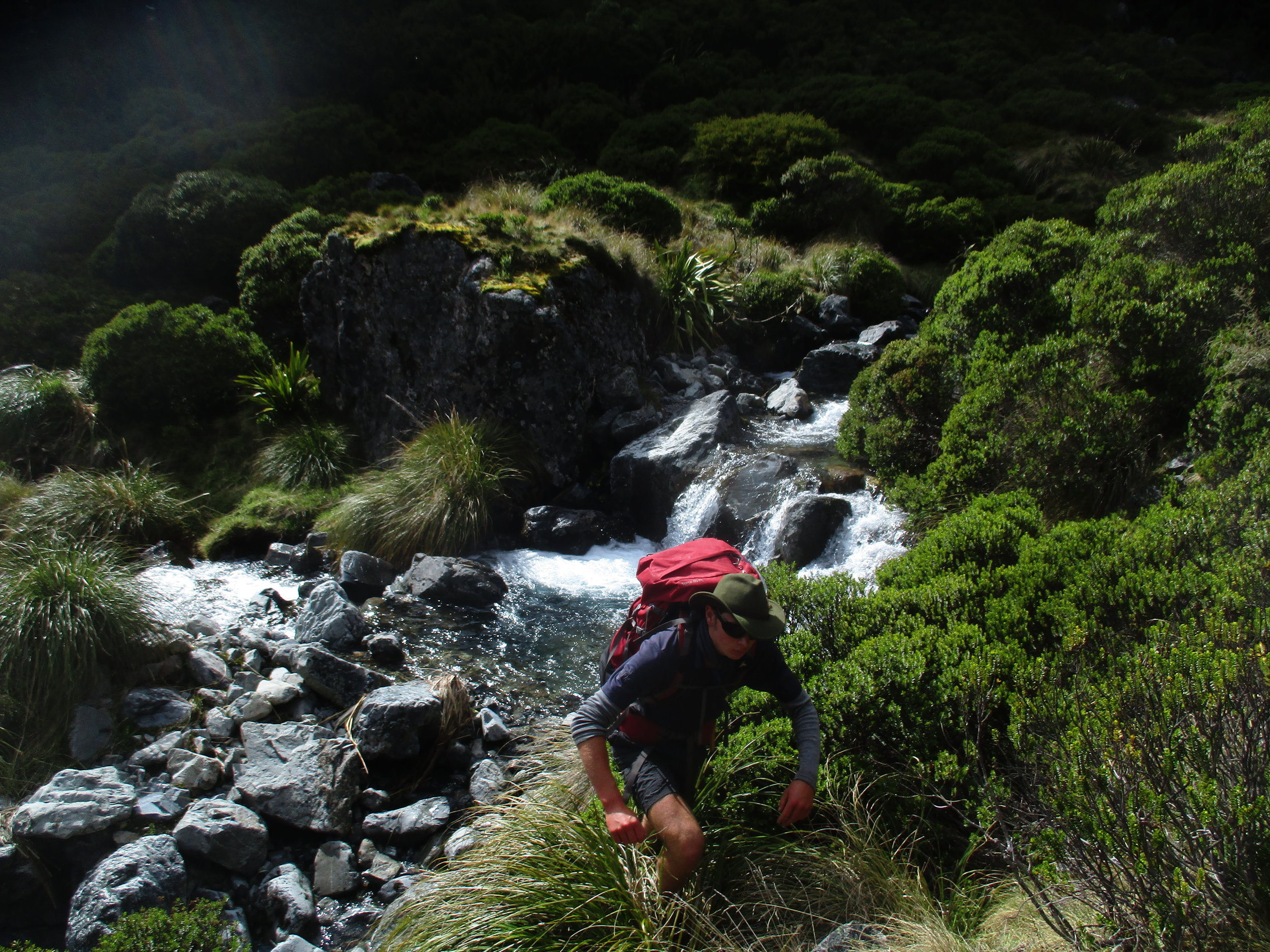 Jono purposefully making his way up the Hamilton river.
