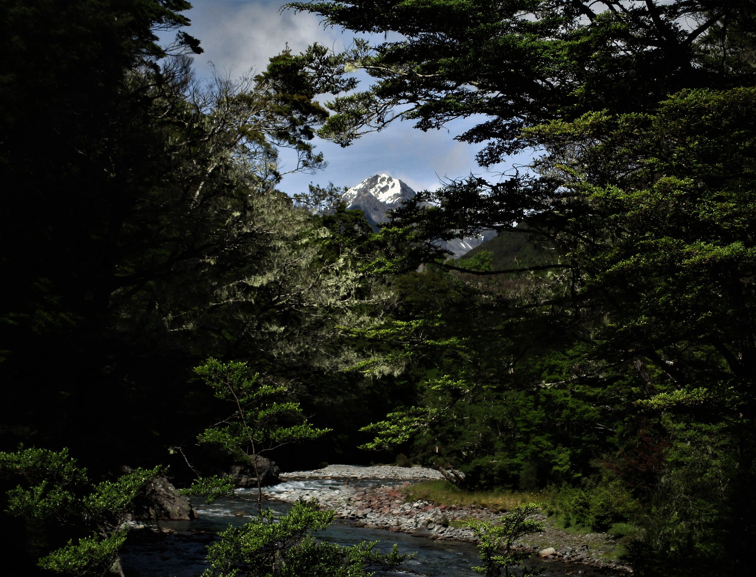 First appearance of Mount Travers during the approach up the Travers valley ,Mount Travers is the second highest peak in the Nelson Lakes National park by a mere 2 meters and its large bulk can be often seen in classic pyramid mountain form from far away.