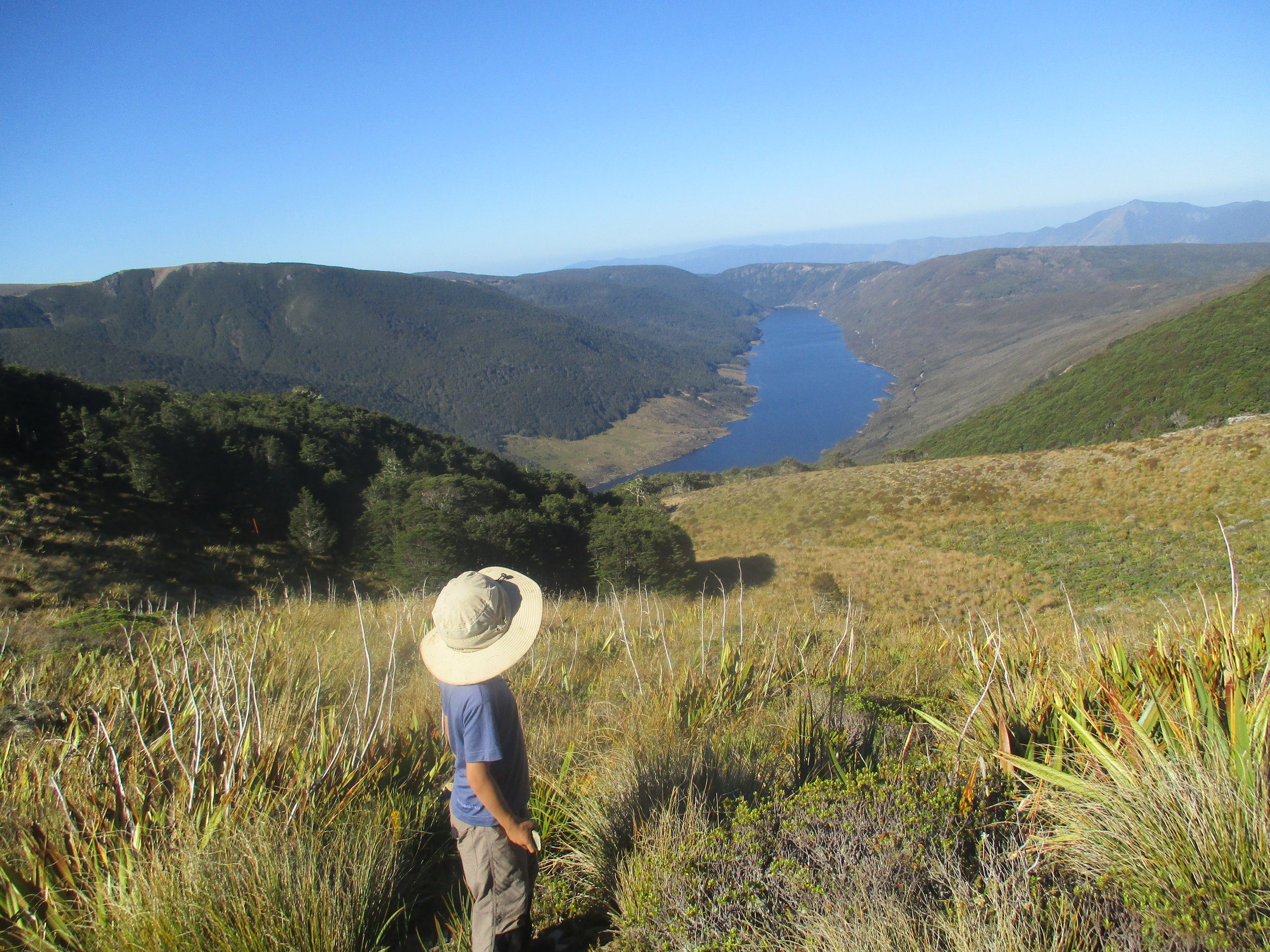 After spending the whole school holidays waiting for a break in the weather I finally got Isabelle and Leo up to Lake Peel below Mount Peel on the the very last weekend before school. Here Leo looks out over the Cobb Resivor and into Golden Bay.