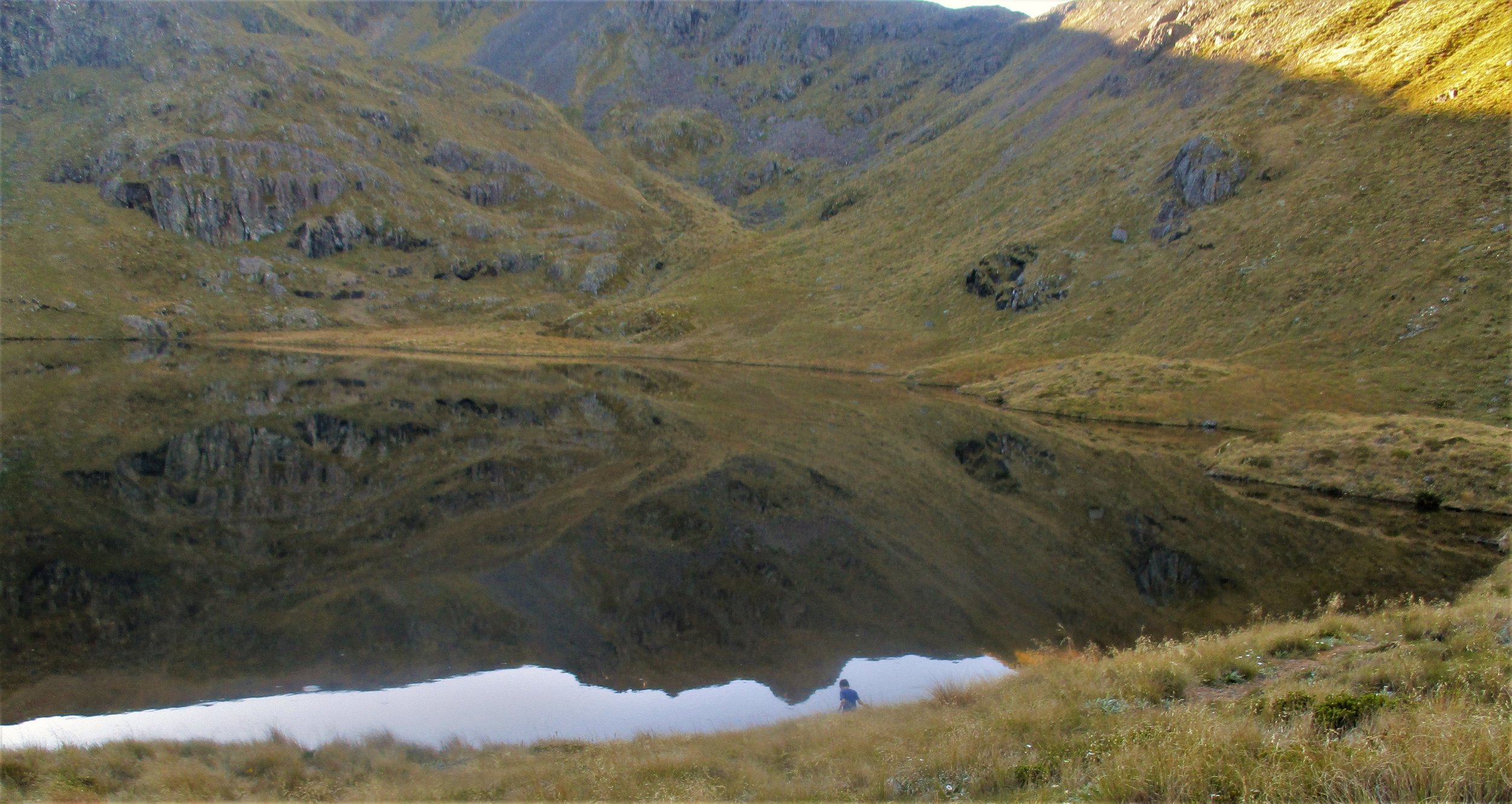 Windless - for a brief few hours, Leo searching for rocks bugs and things at Lake Peel.