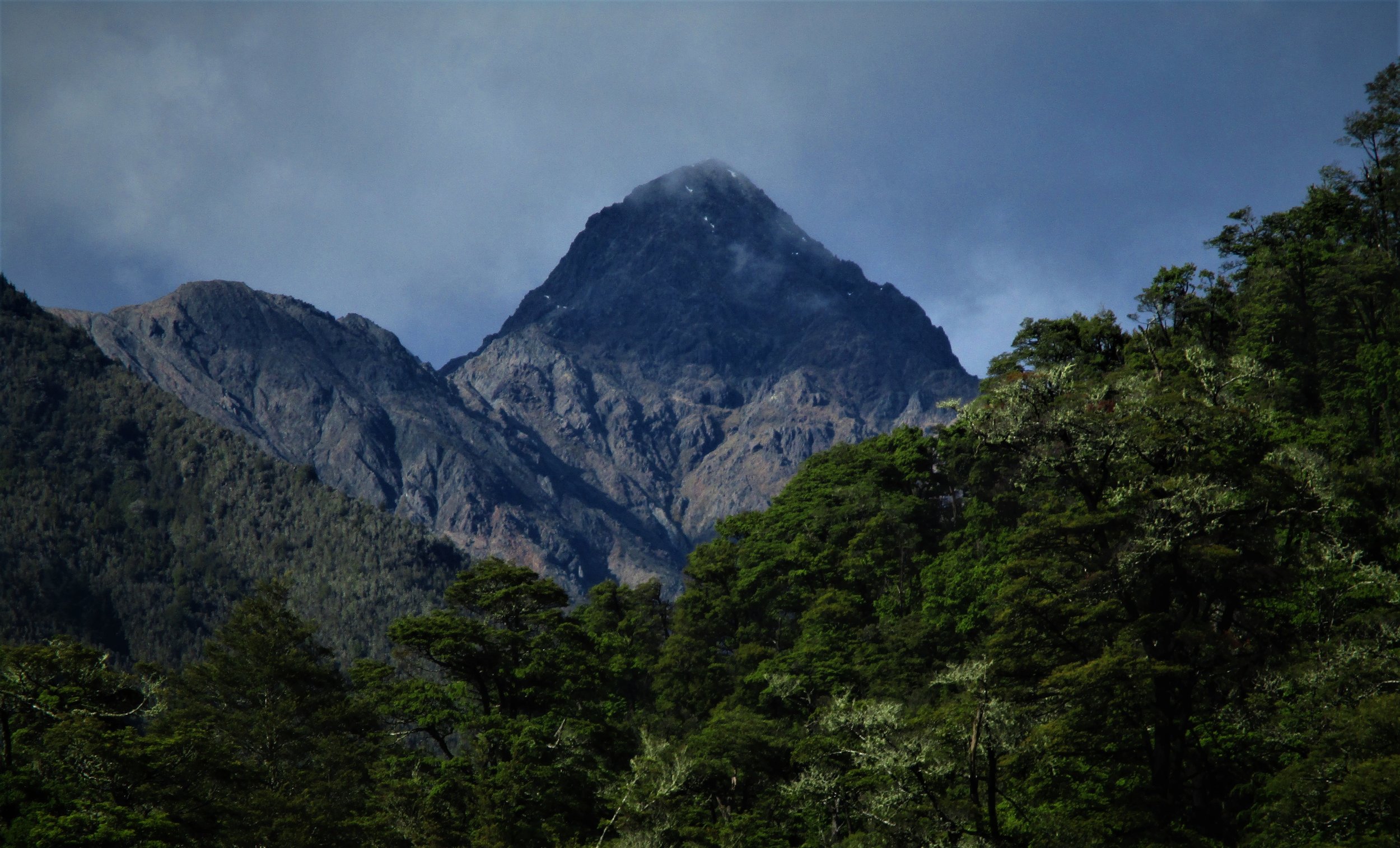   Scotts Knob 2160m Raglan ranges  