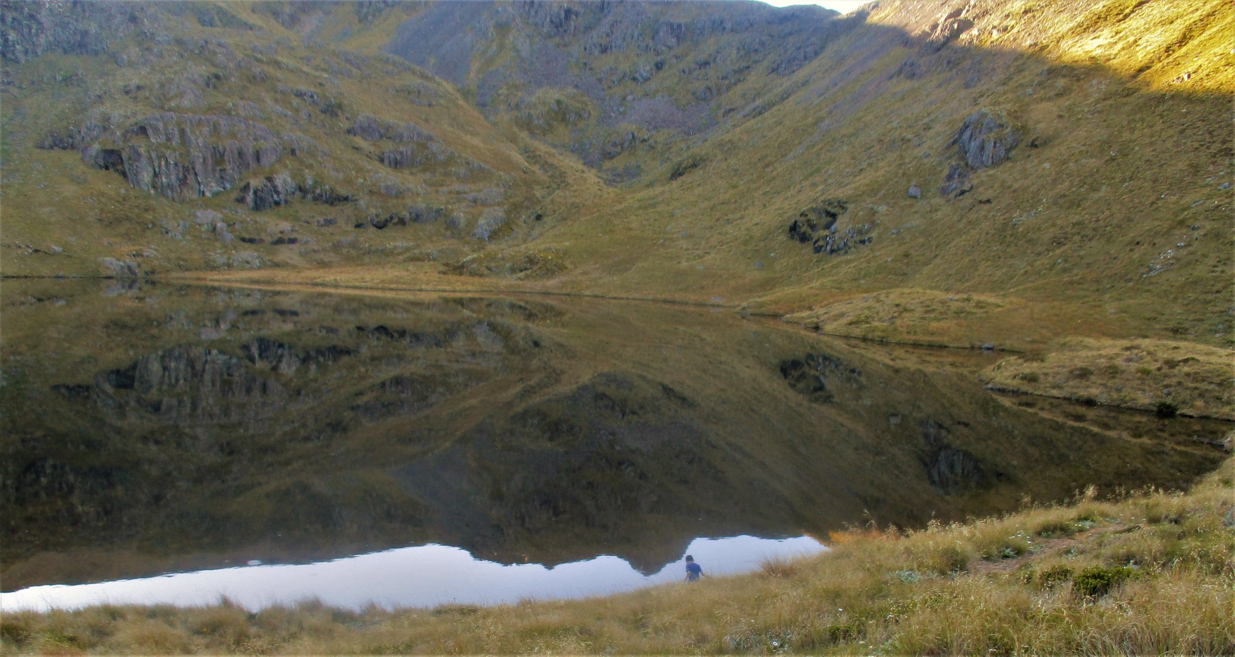   Leo forages at Lake Peel , Kahurangi National park  