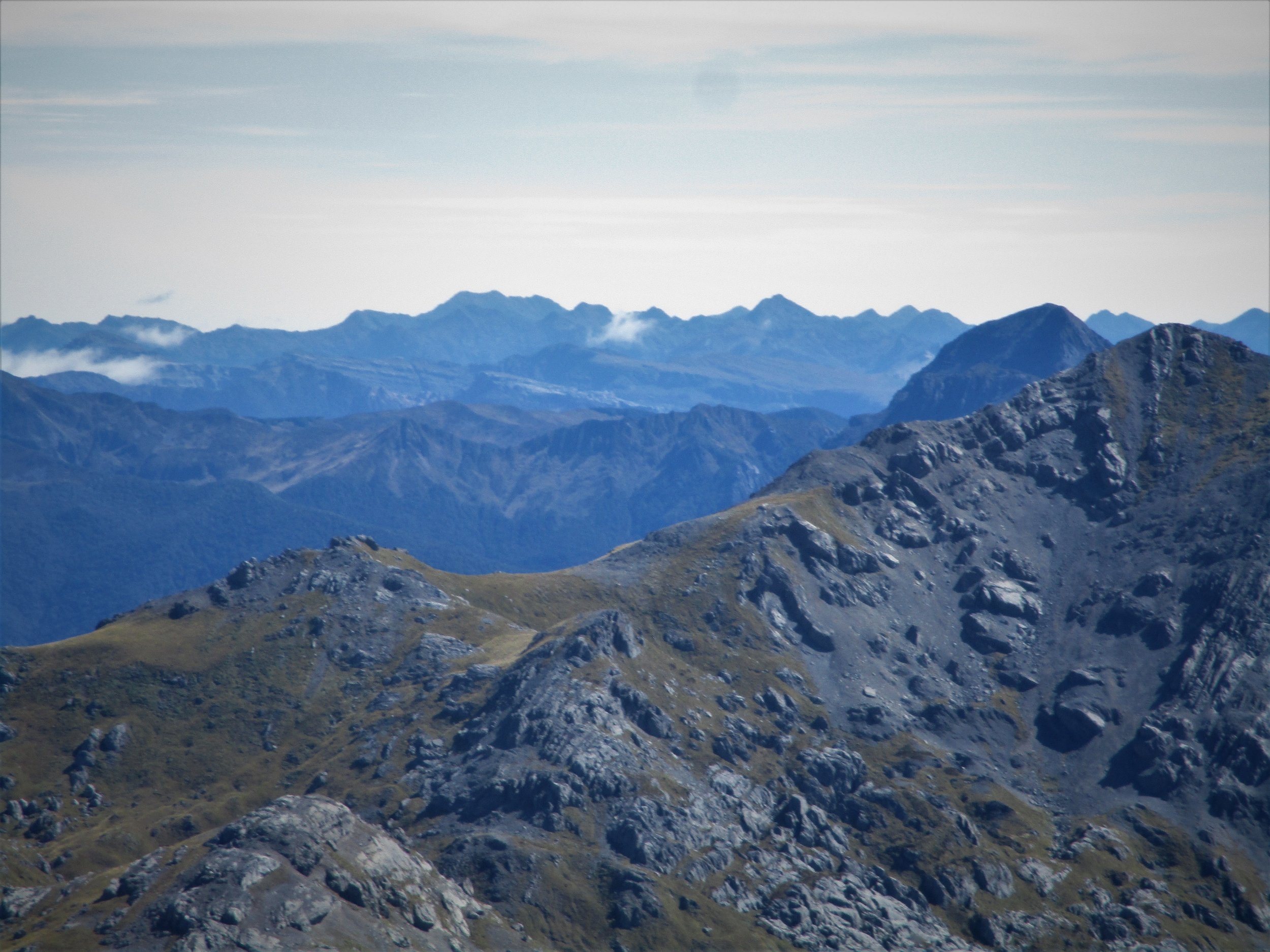 North from the Top of Mount Bell