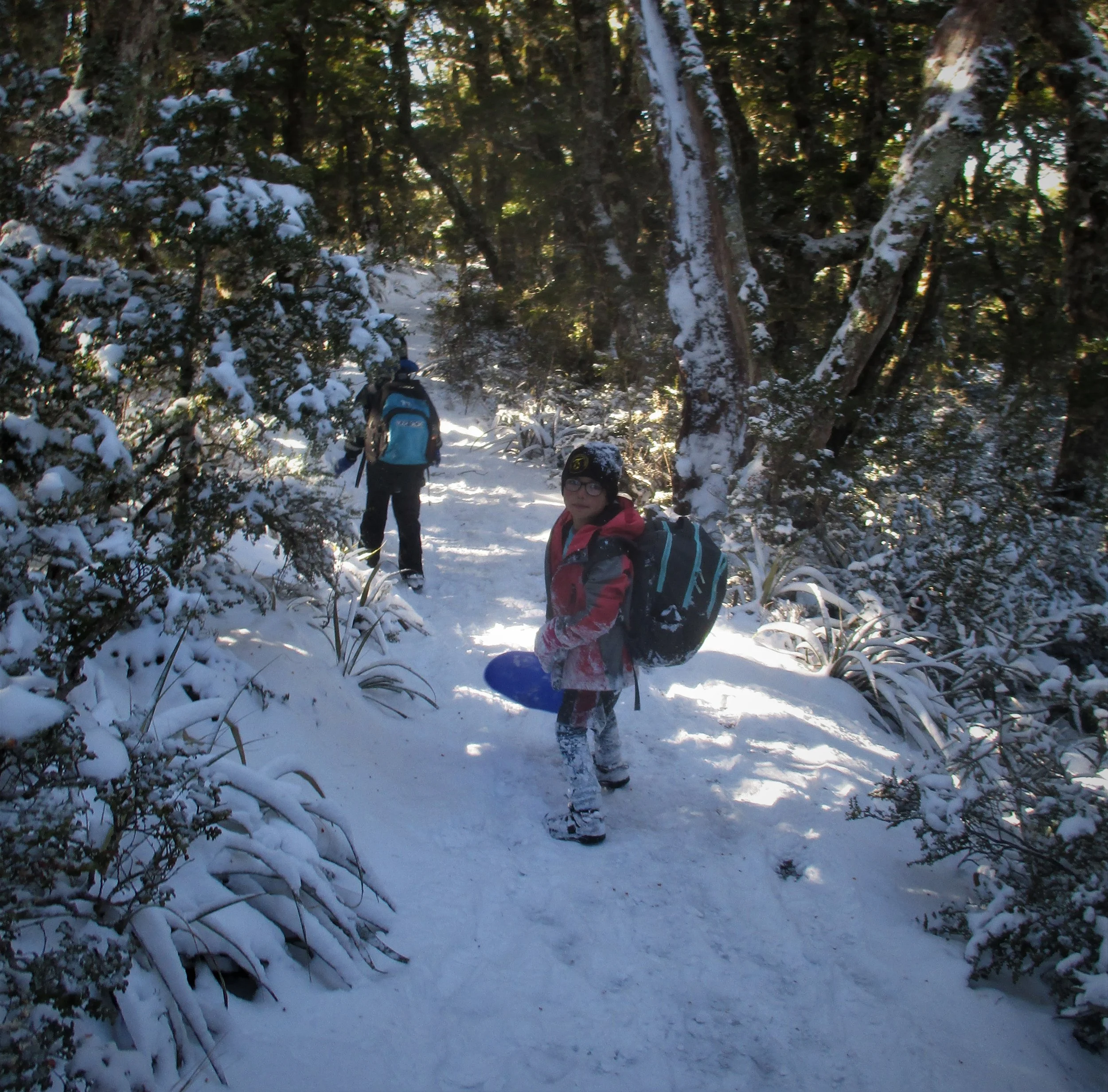 Leo in the Snow forest